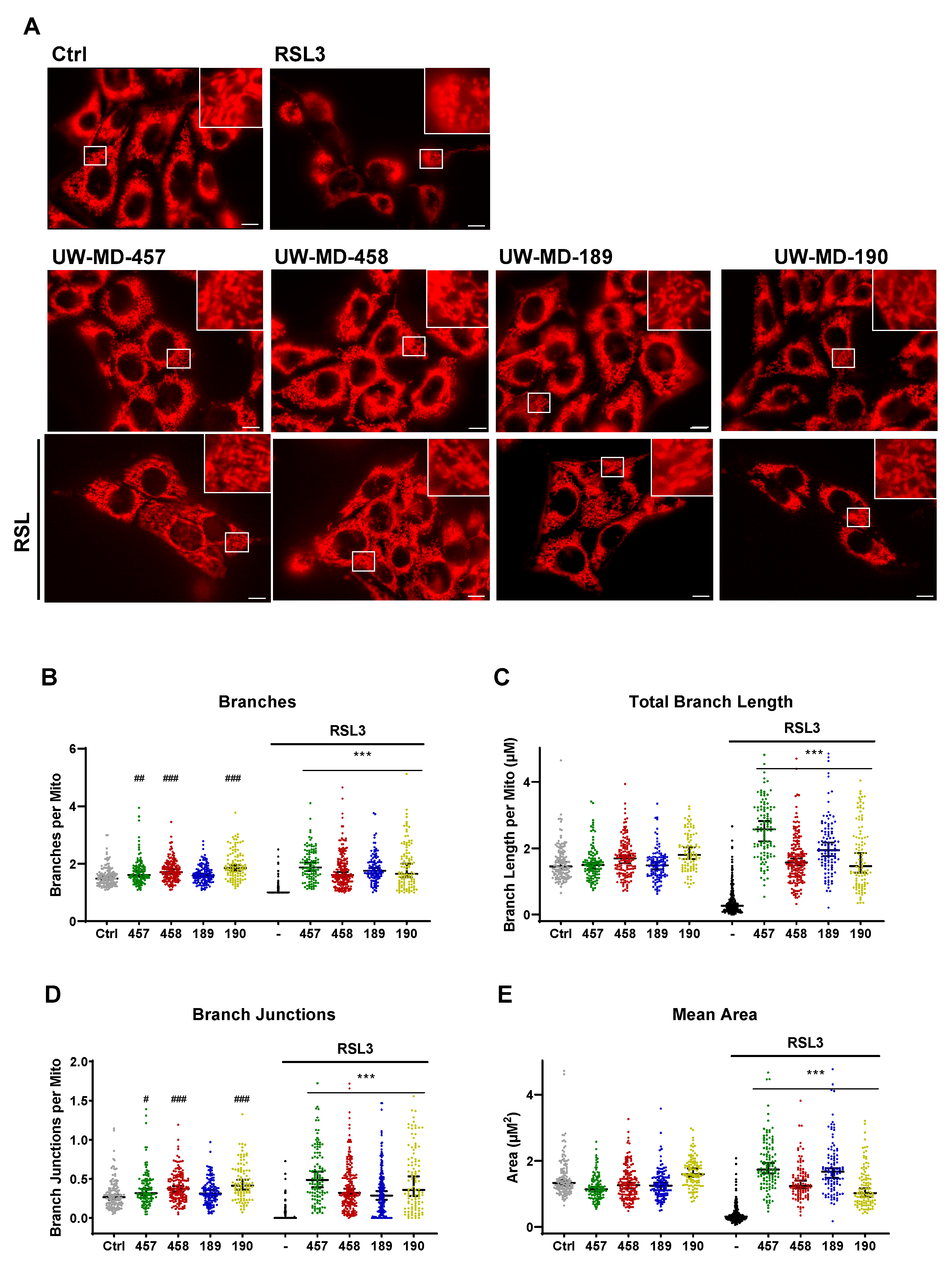 Antioxidants 13 00044 g010
