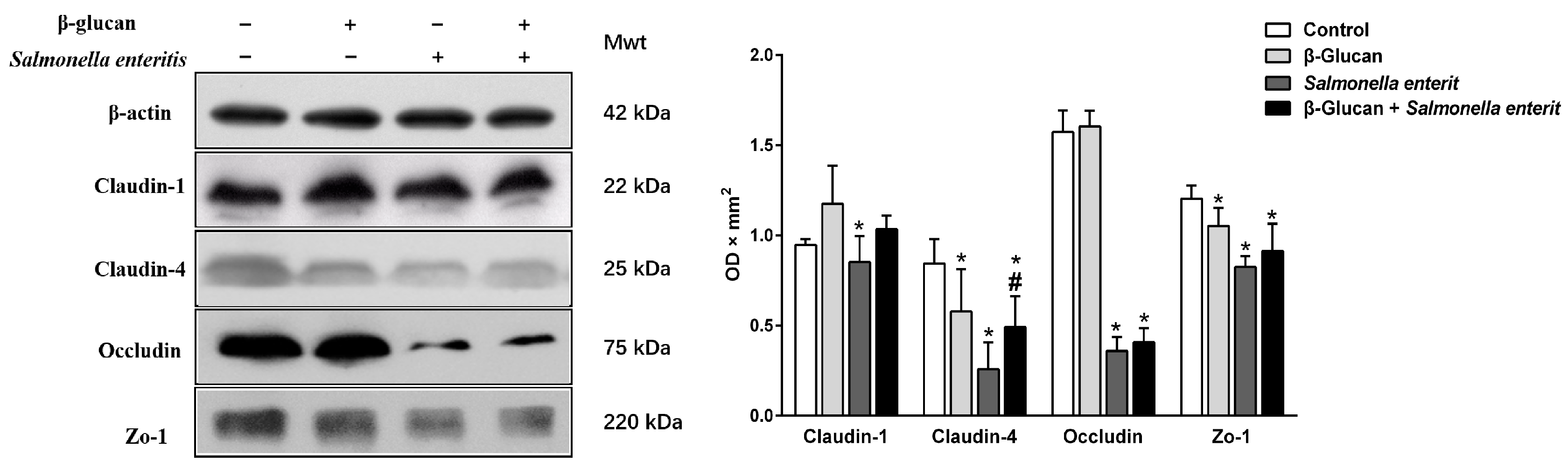 Antioxidants 13 00048 g003