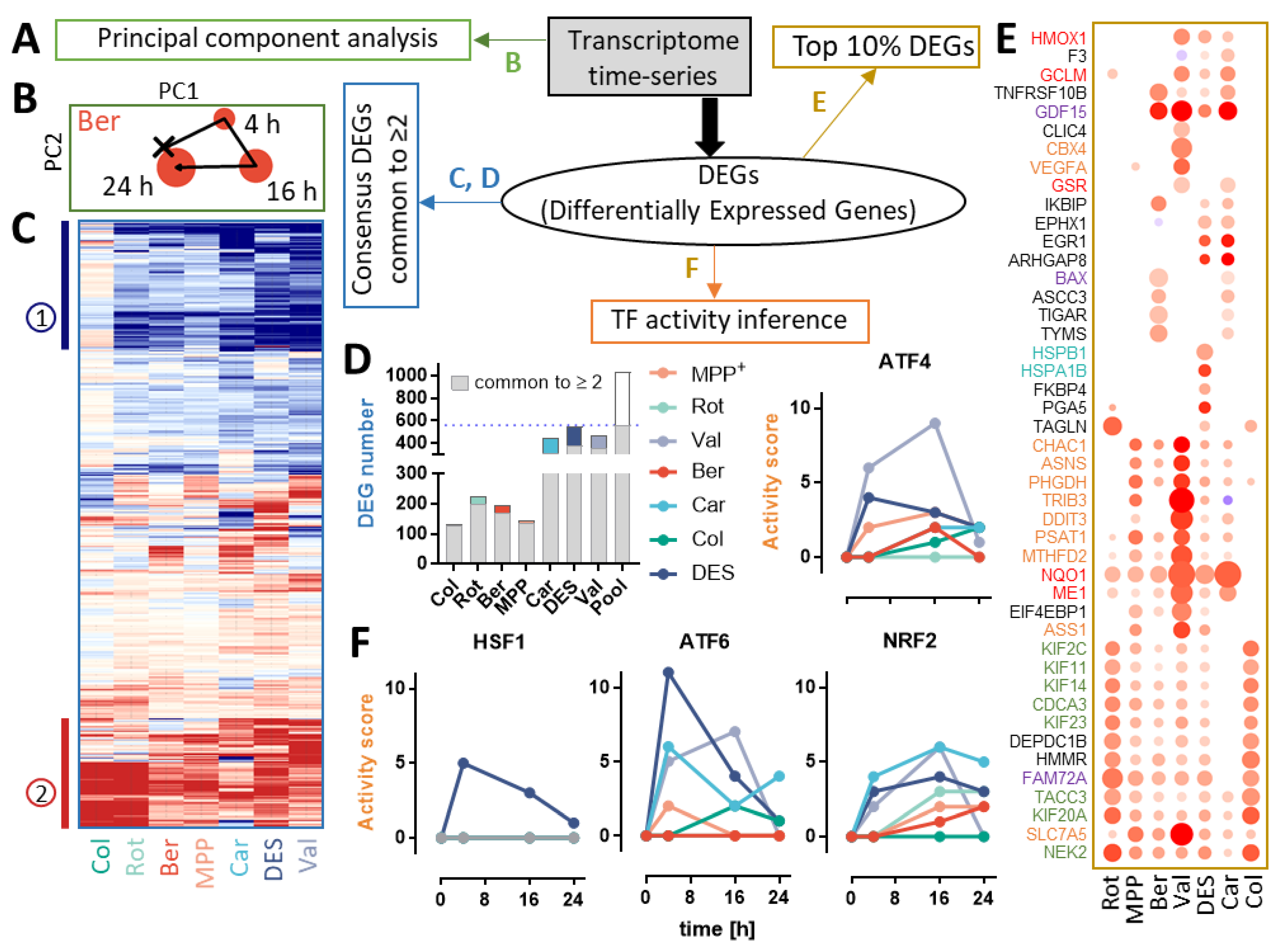 Antioxidants 13 00049 g002