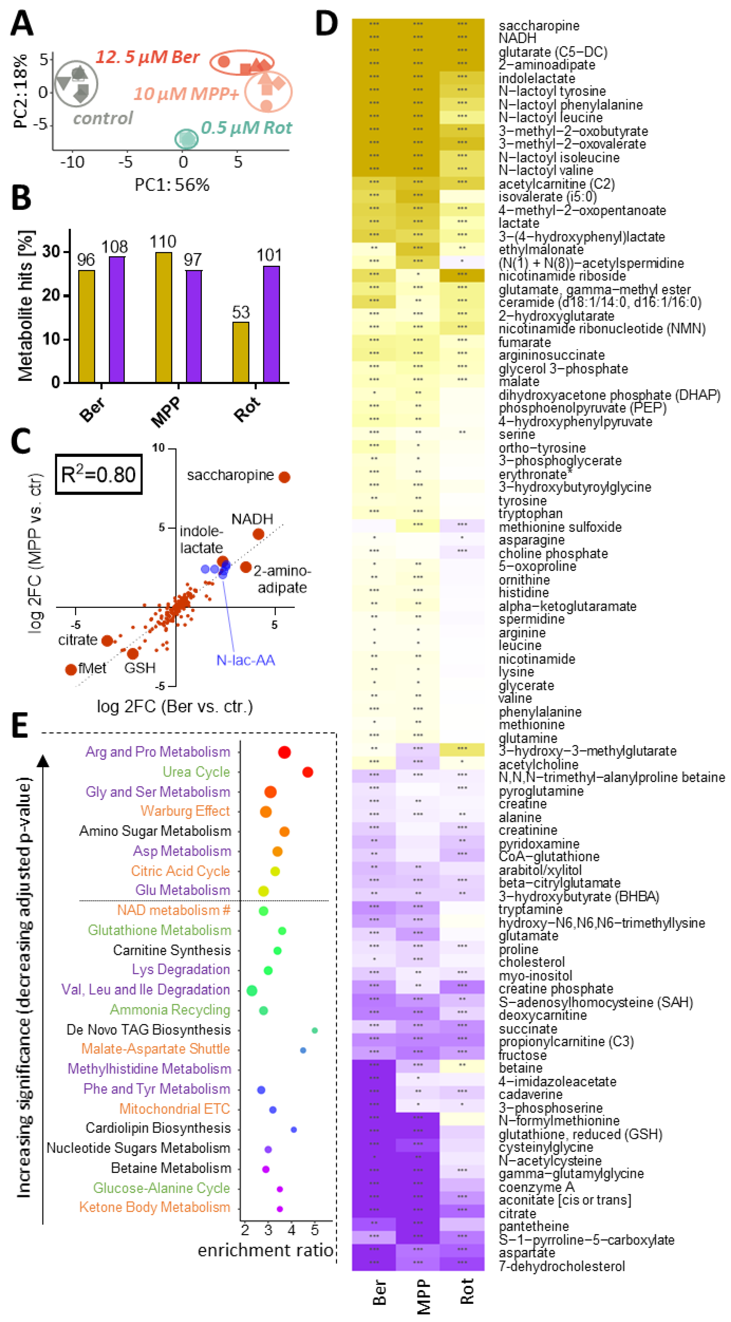 Antioxidants 13 00049 g007