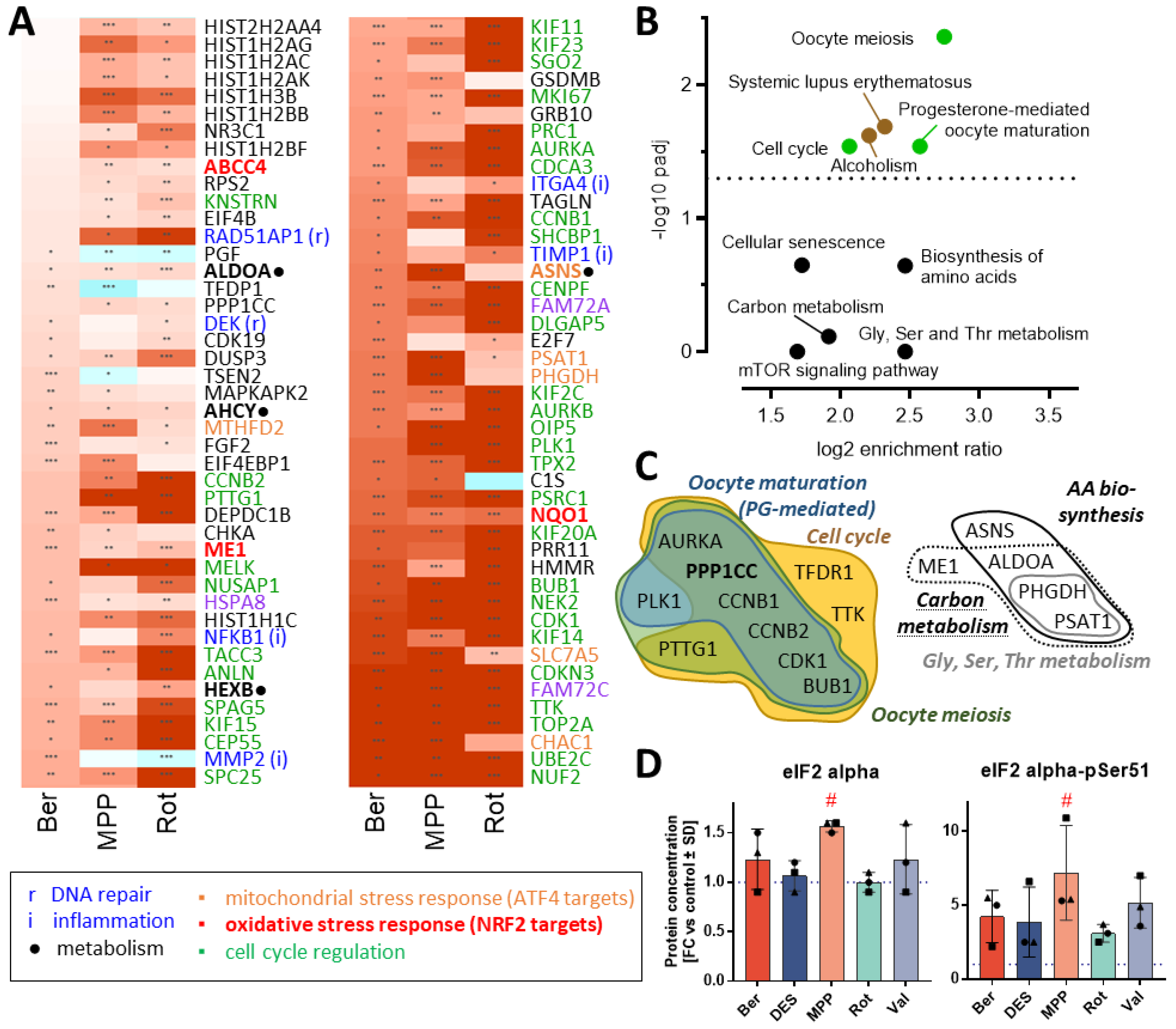 Antioxidants 13 00049 g008