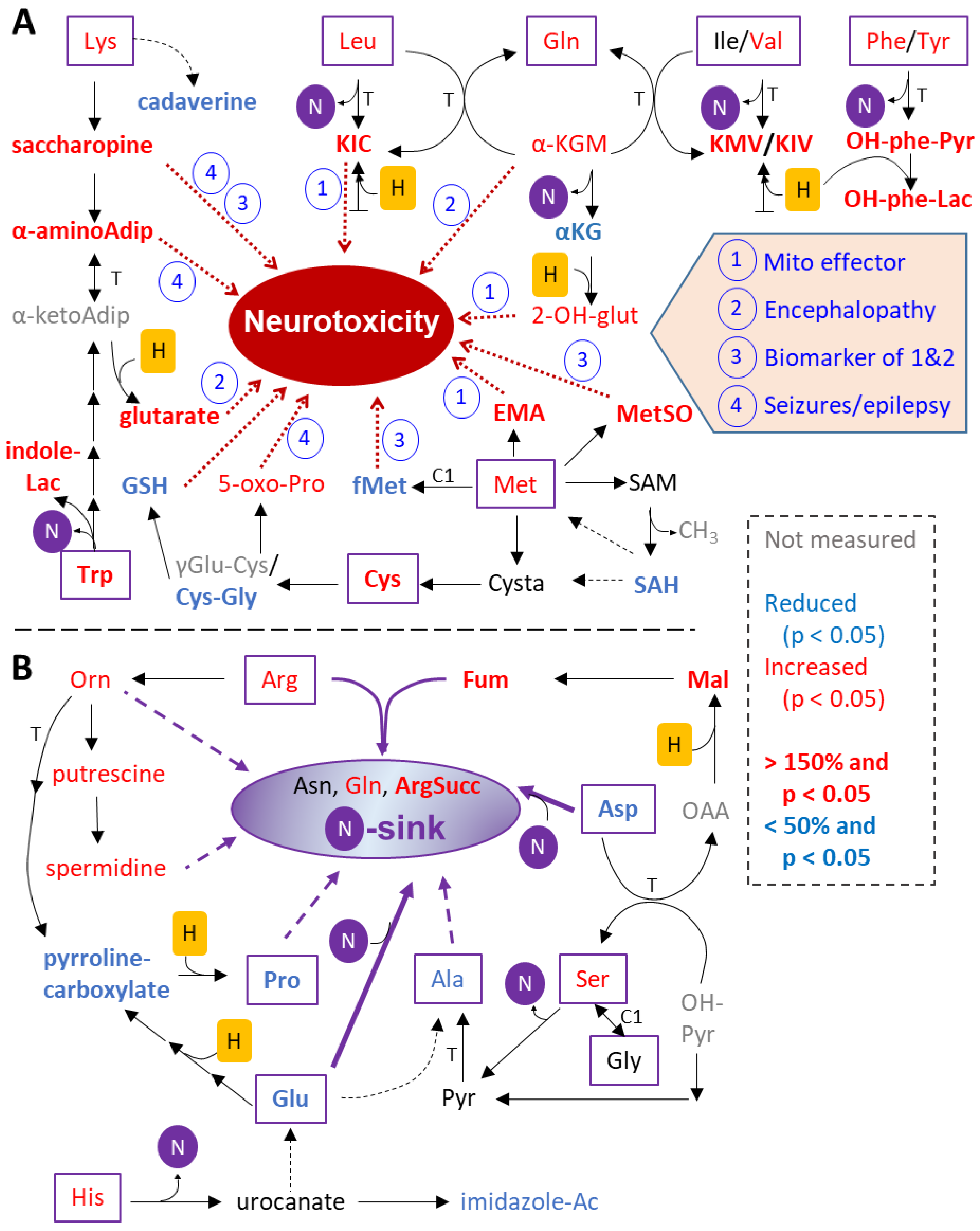 Antioxidants 13 00049 g009
