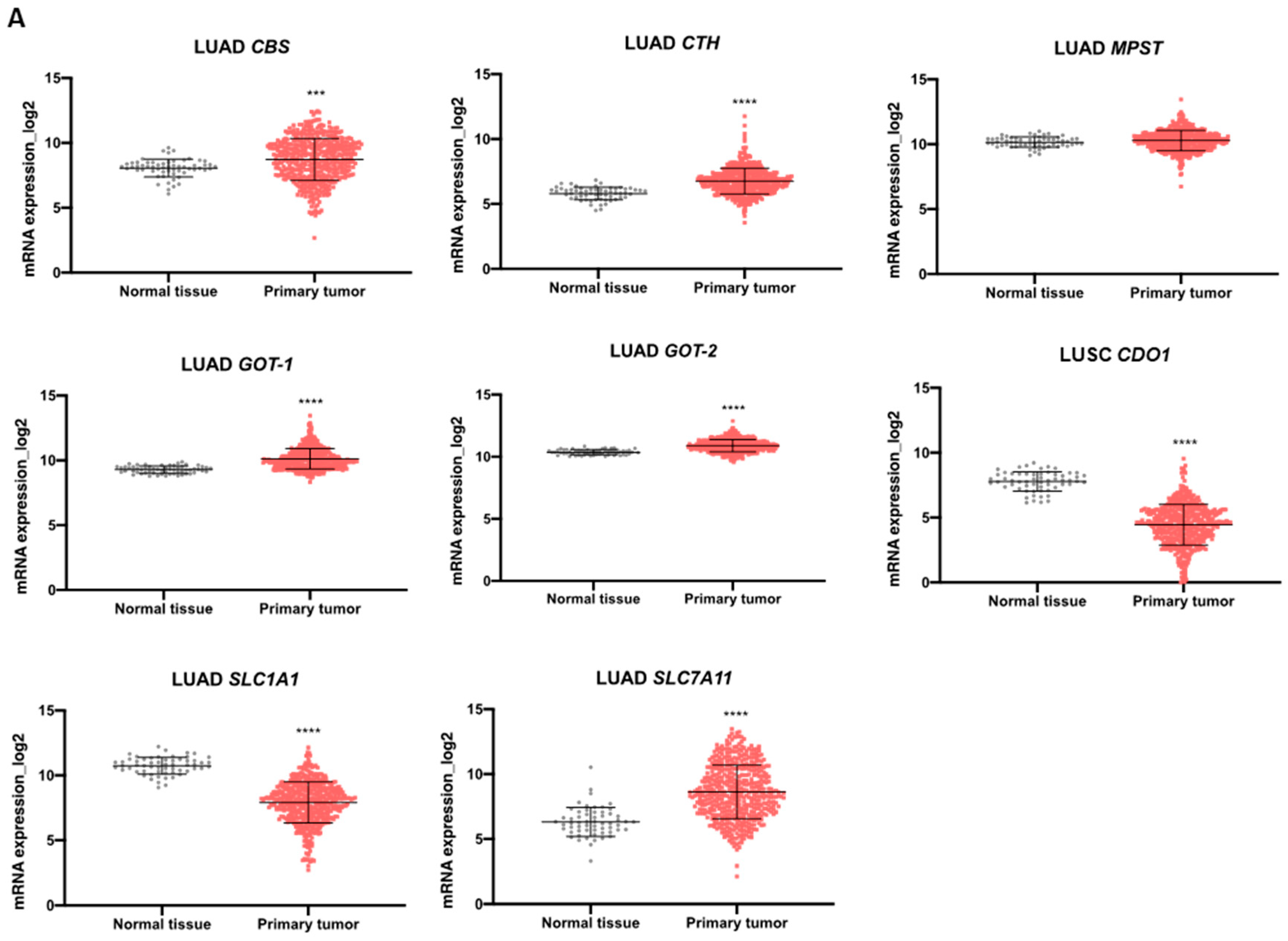 Antioxidants 13 00051 g005a