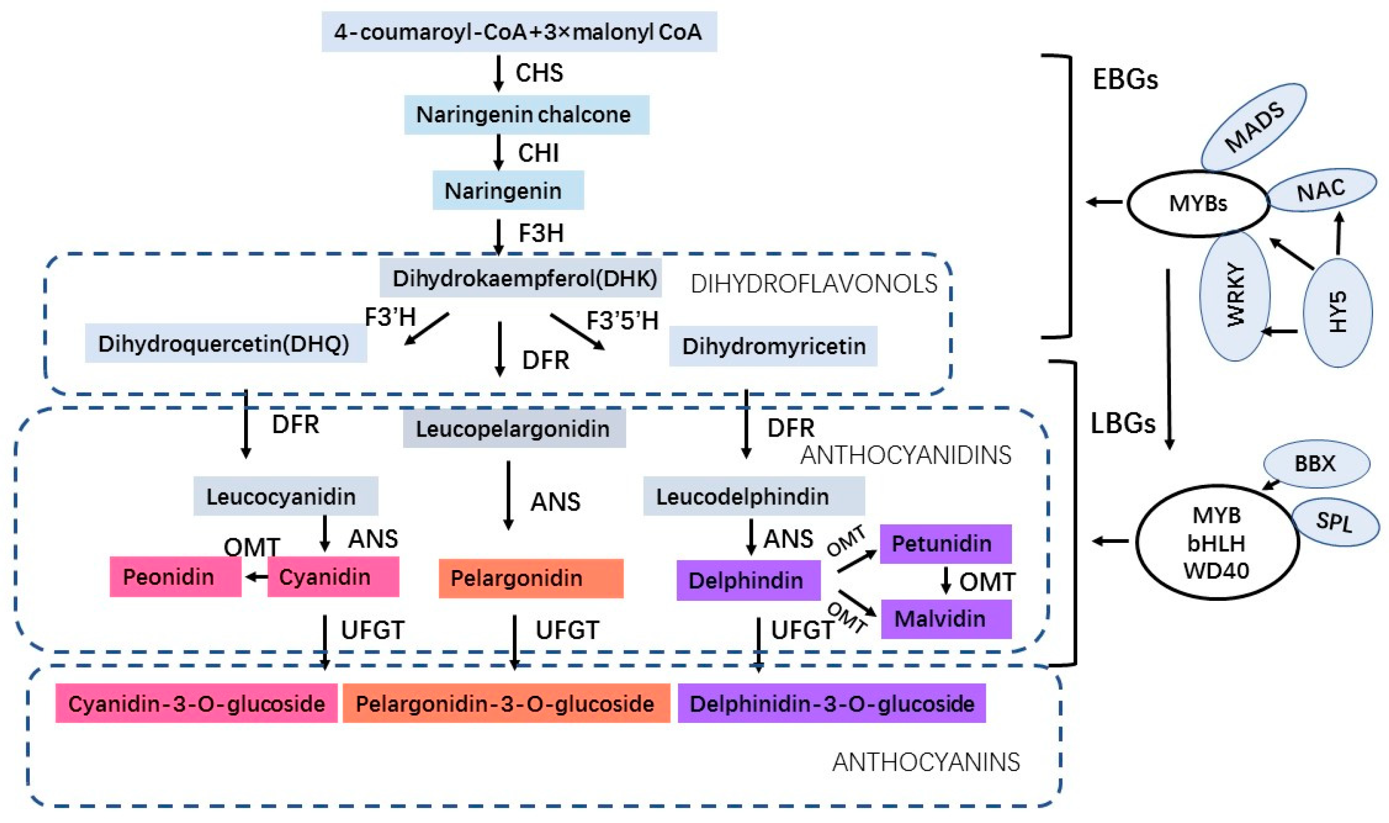 Antioxidants 13 00055 g001