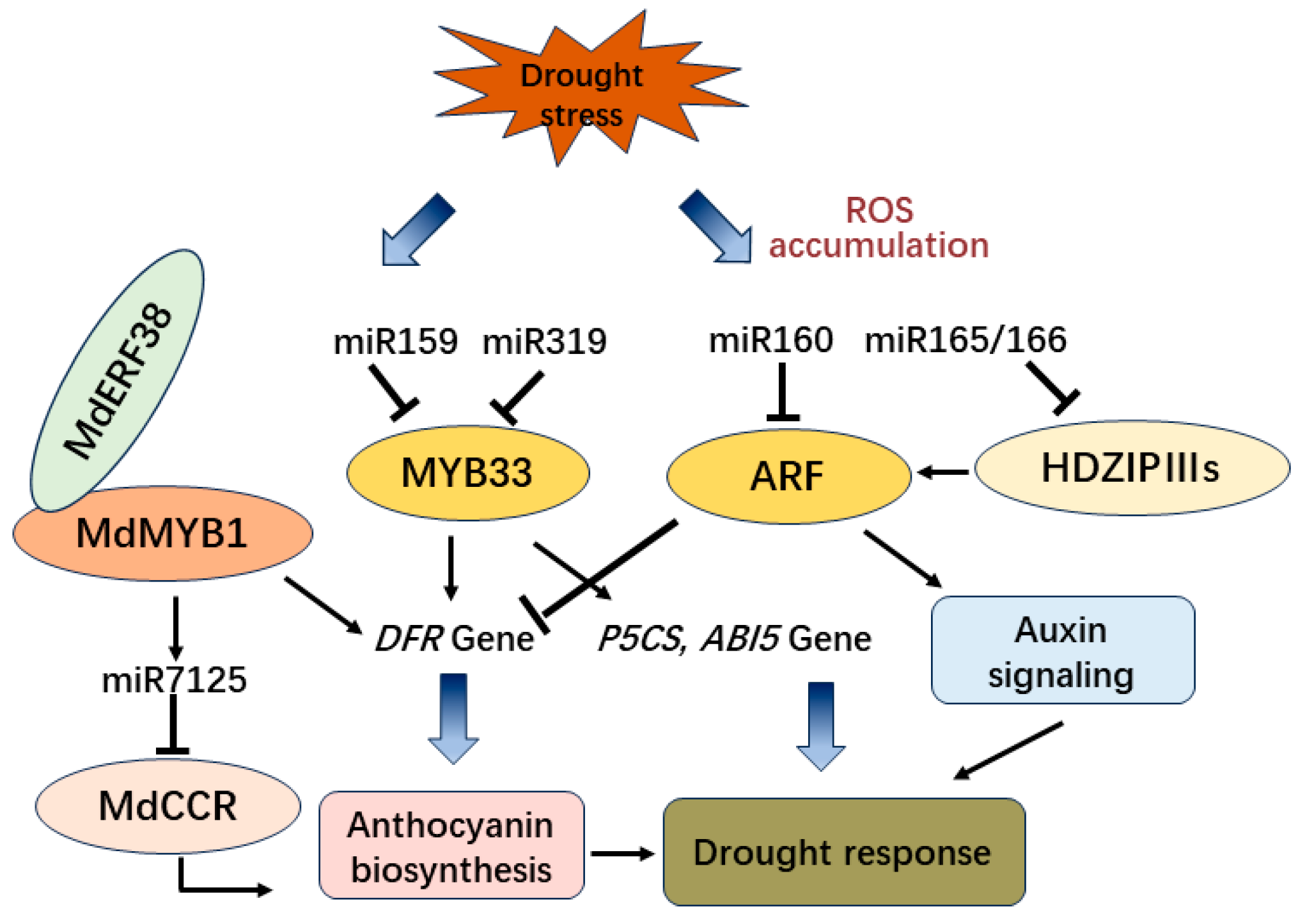 Antioxidants 13 00055 g005