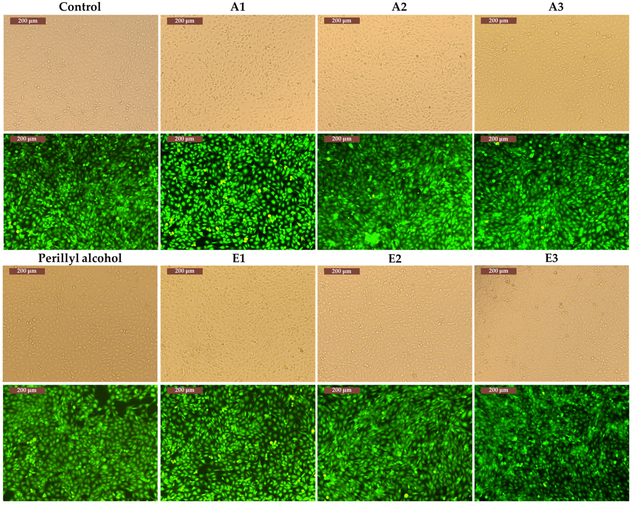 Antioxidants 13 00058 g010