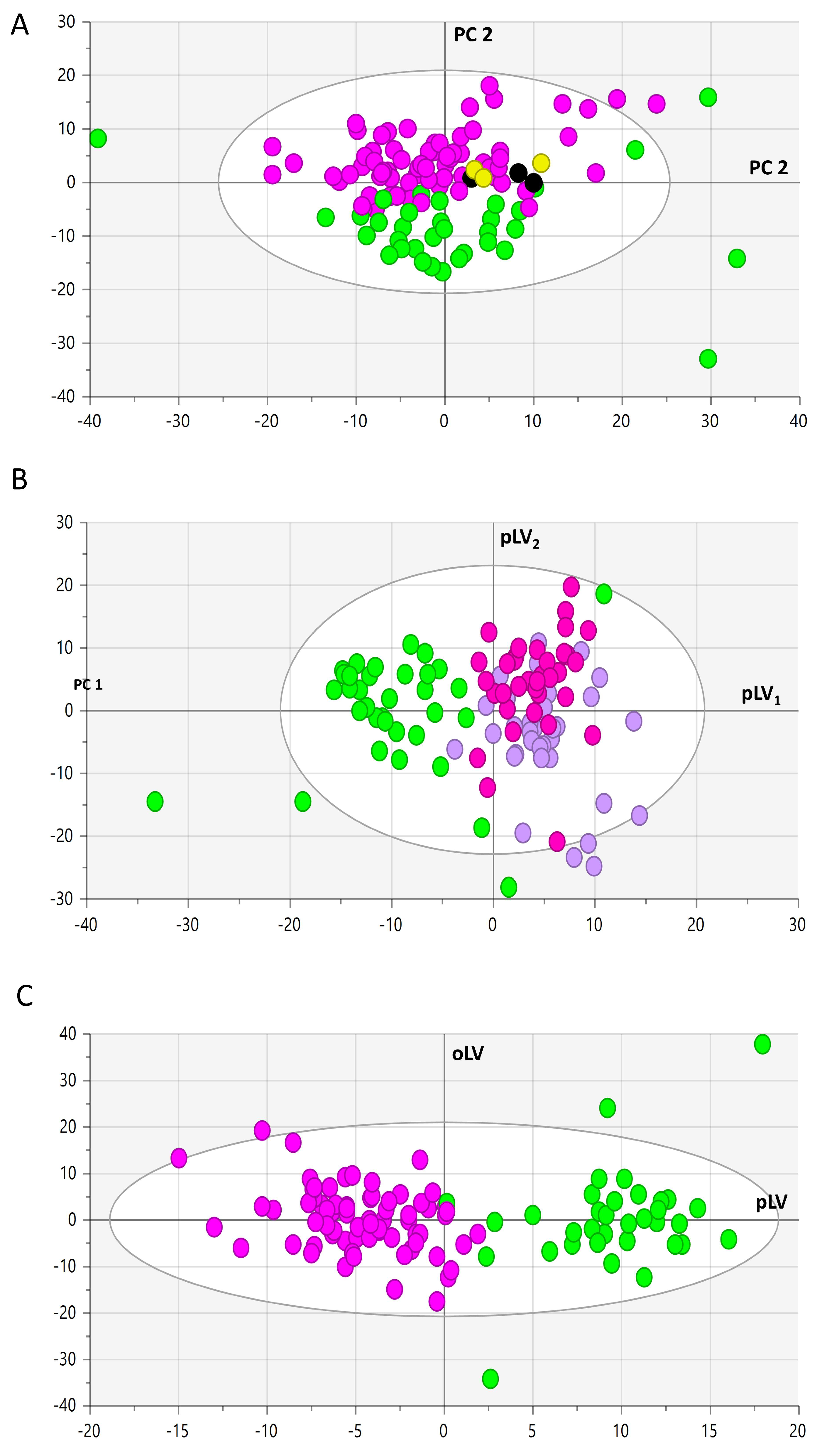 Antioxidants 13 00060 g002