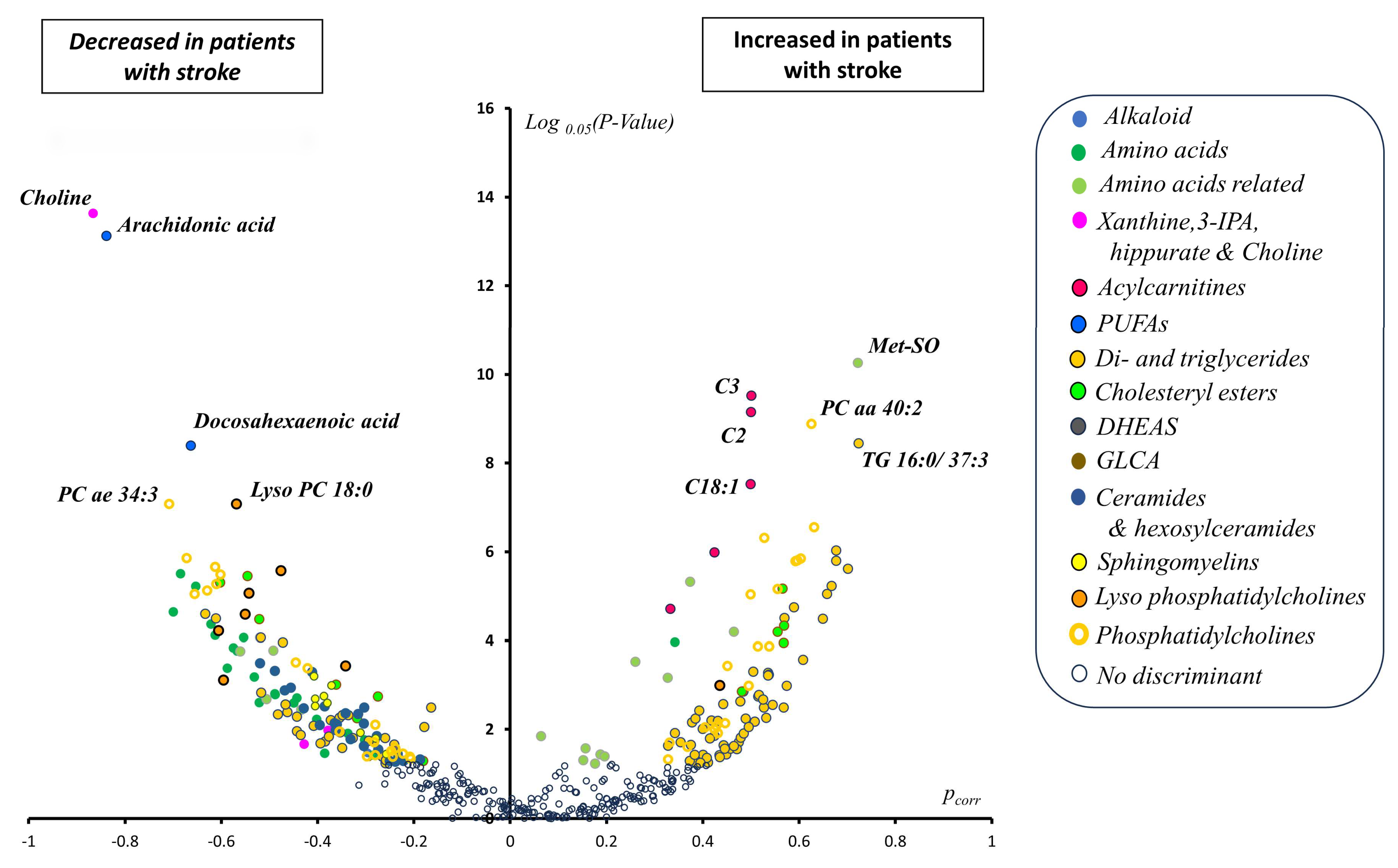 Antioxidants 13 00060 g003