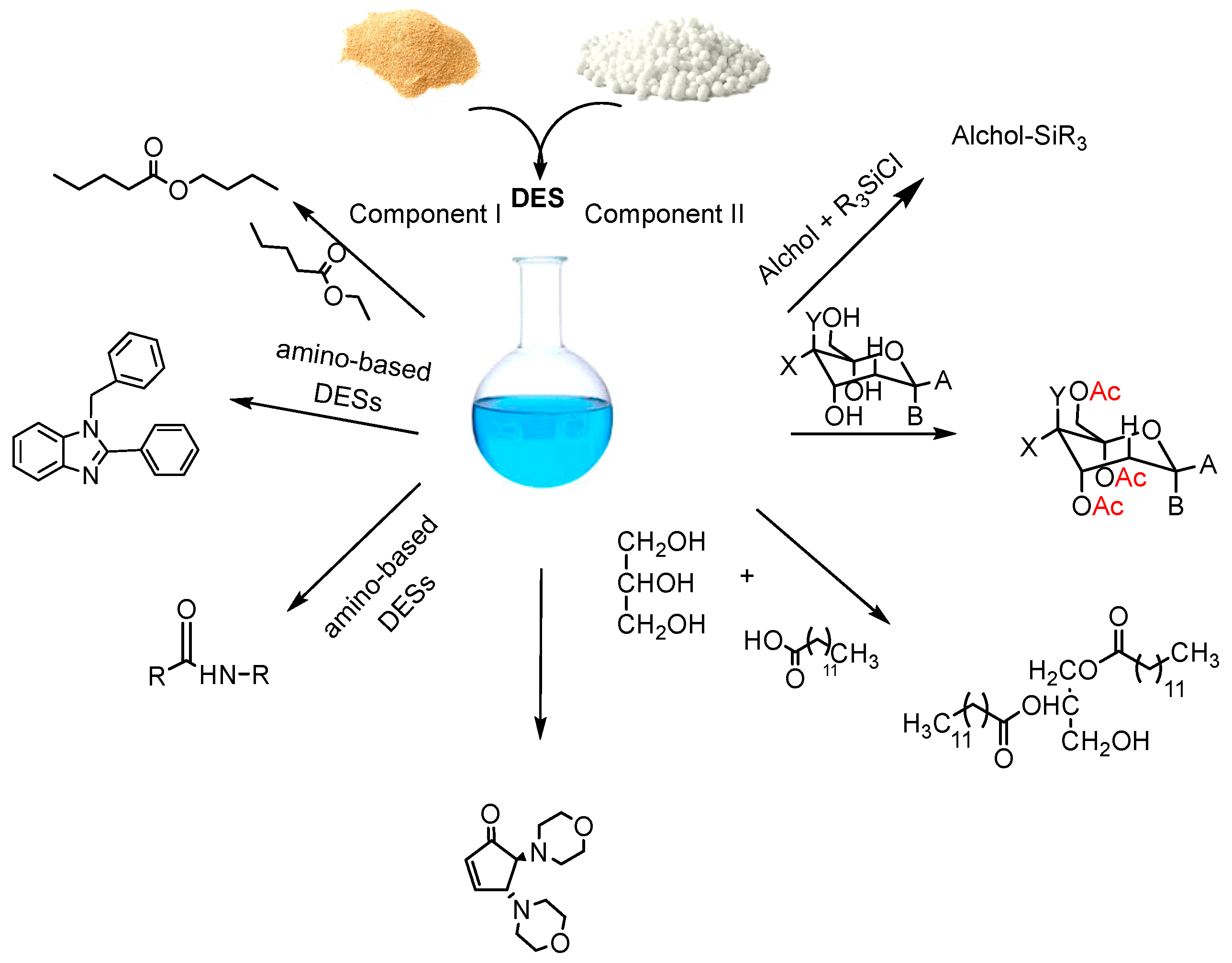 Antioxidants 13 00062 sch001