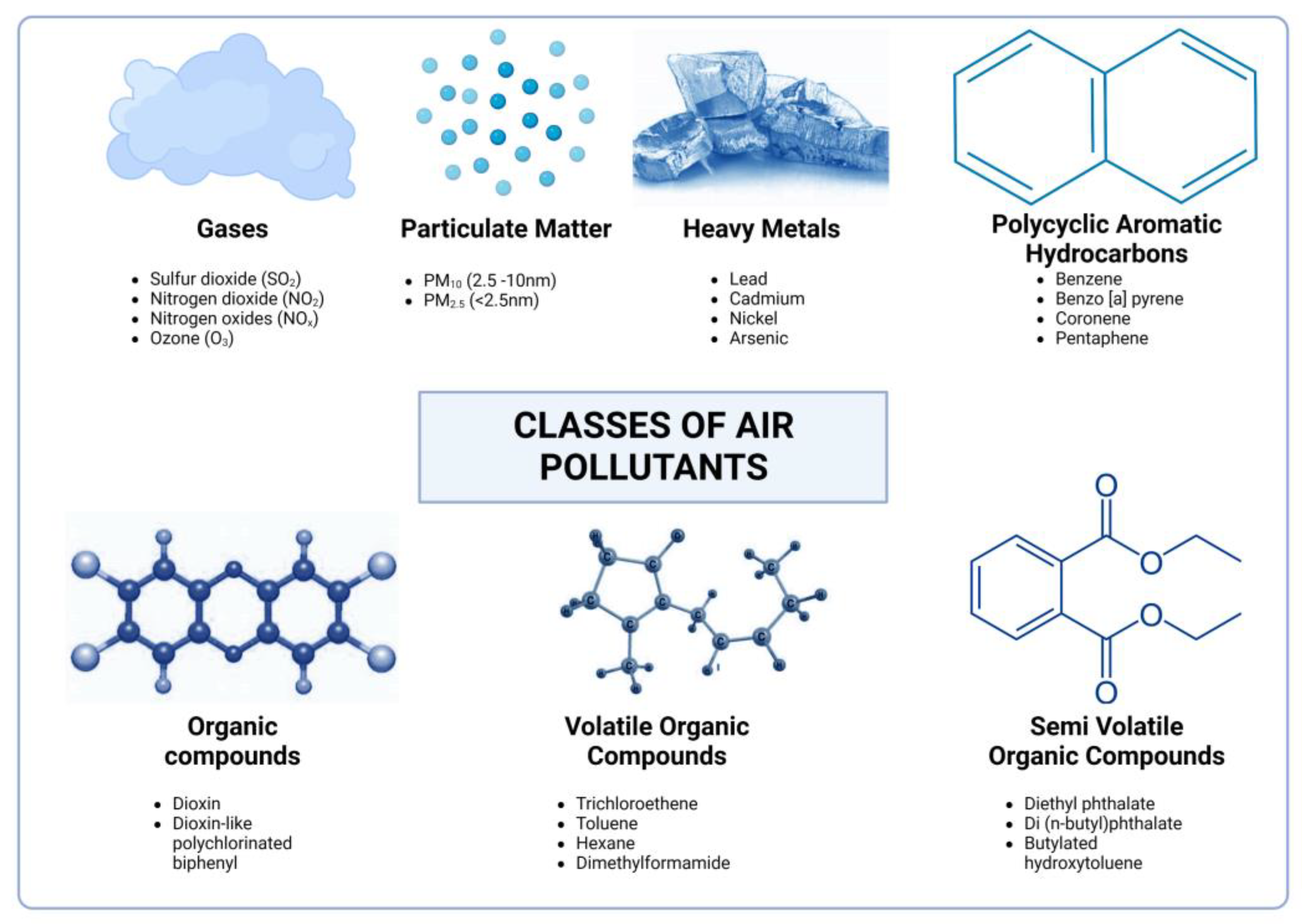 Antioxidants 13 00064 g002