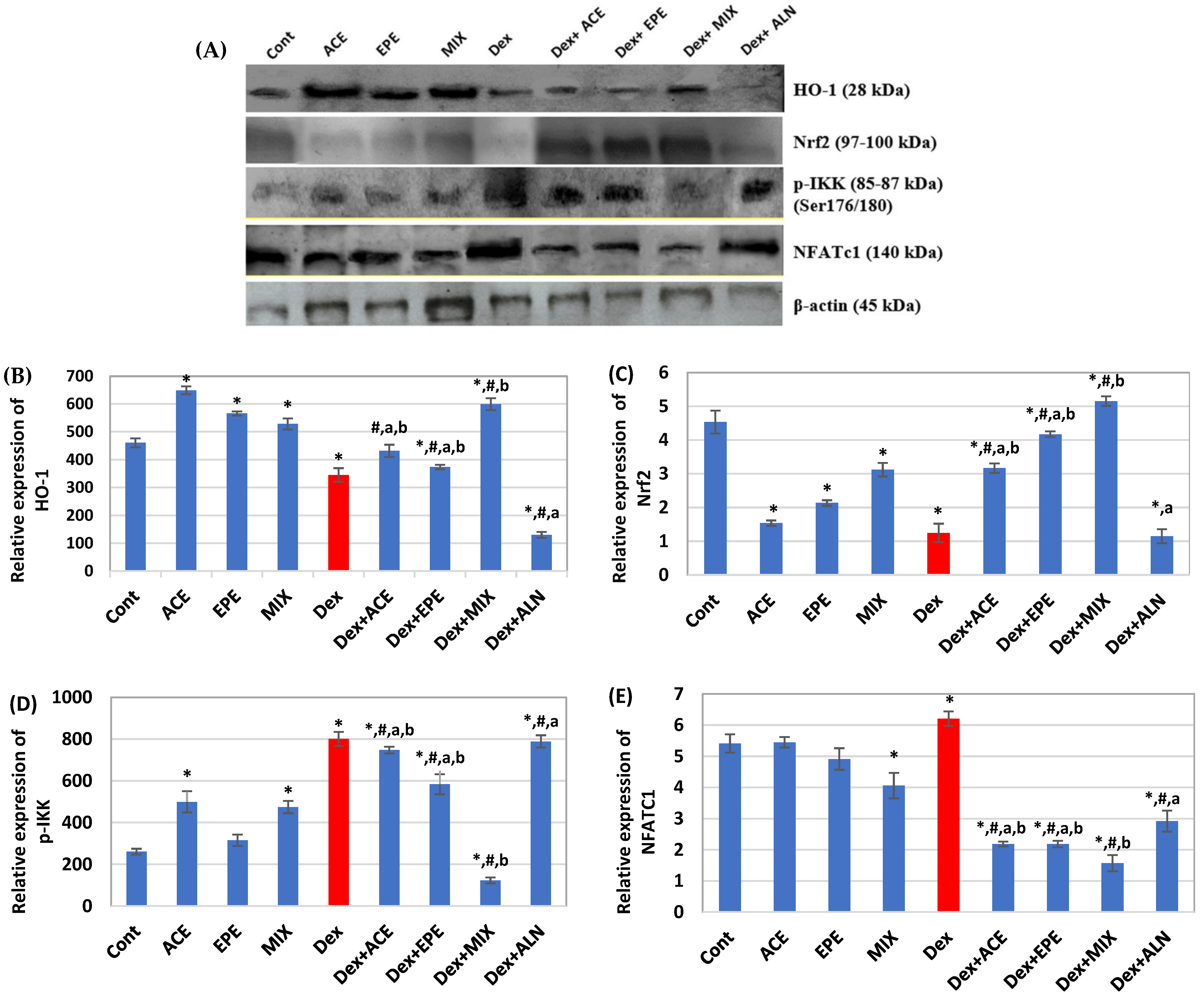 Antioxidants 13 00066 g007