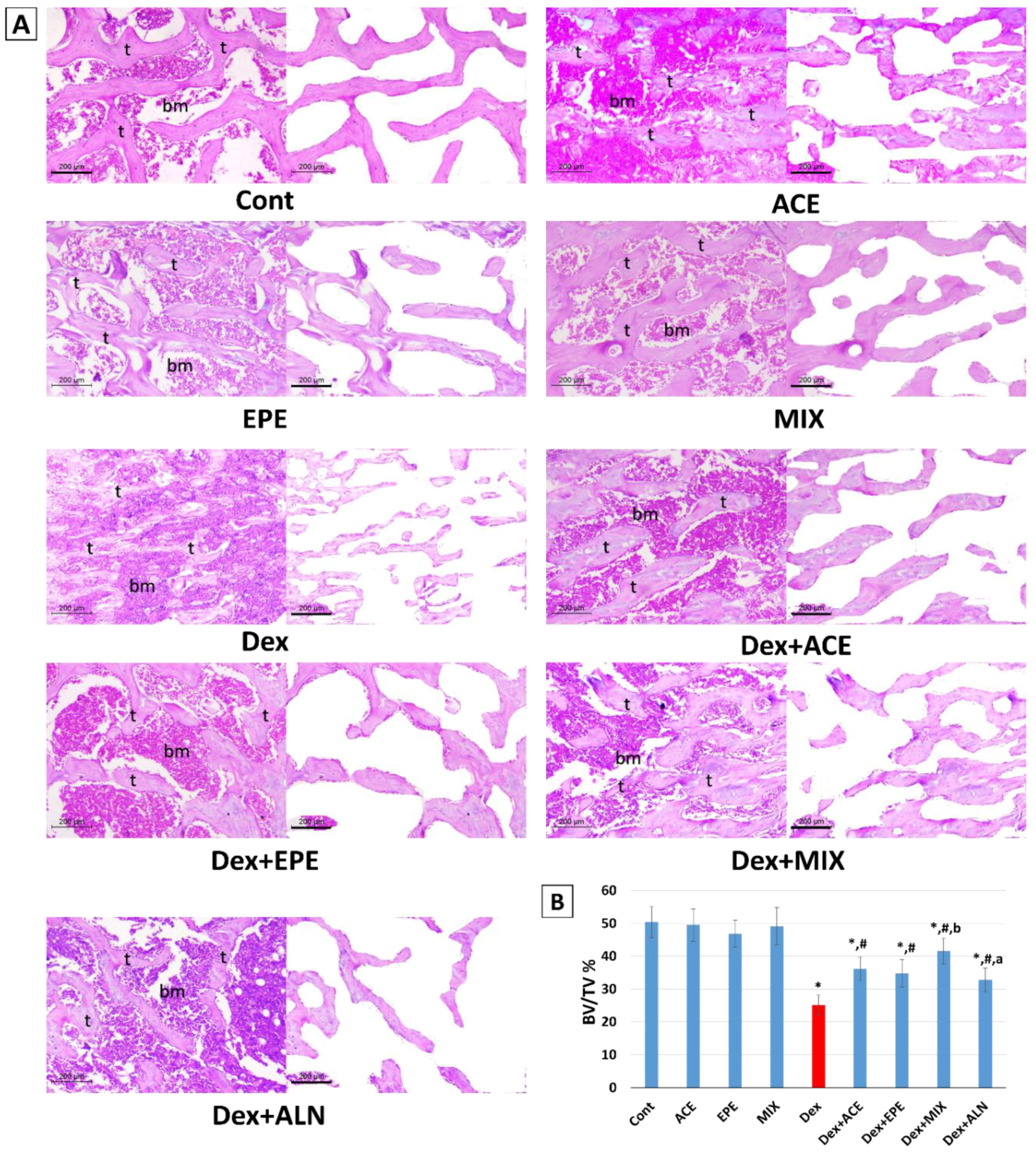Antioxidants 13 00066 g008