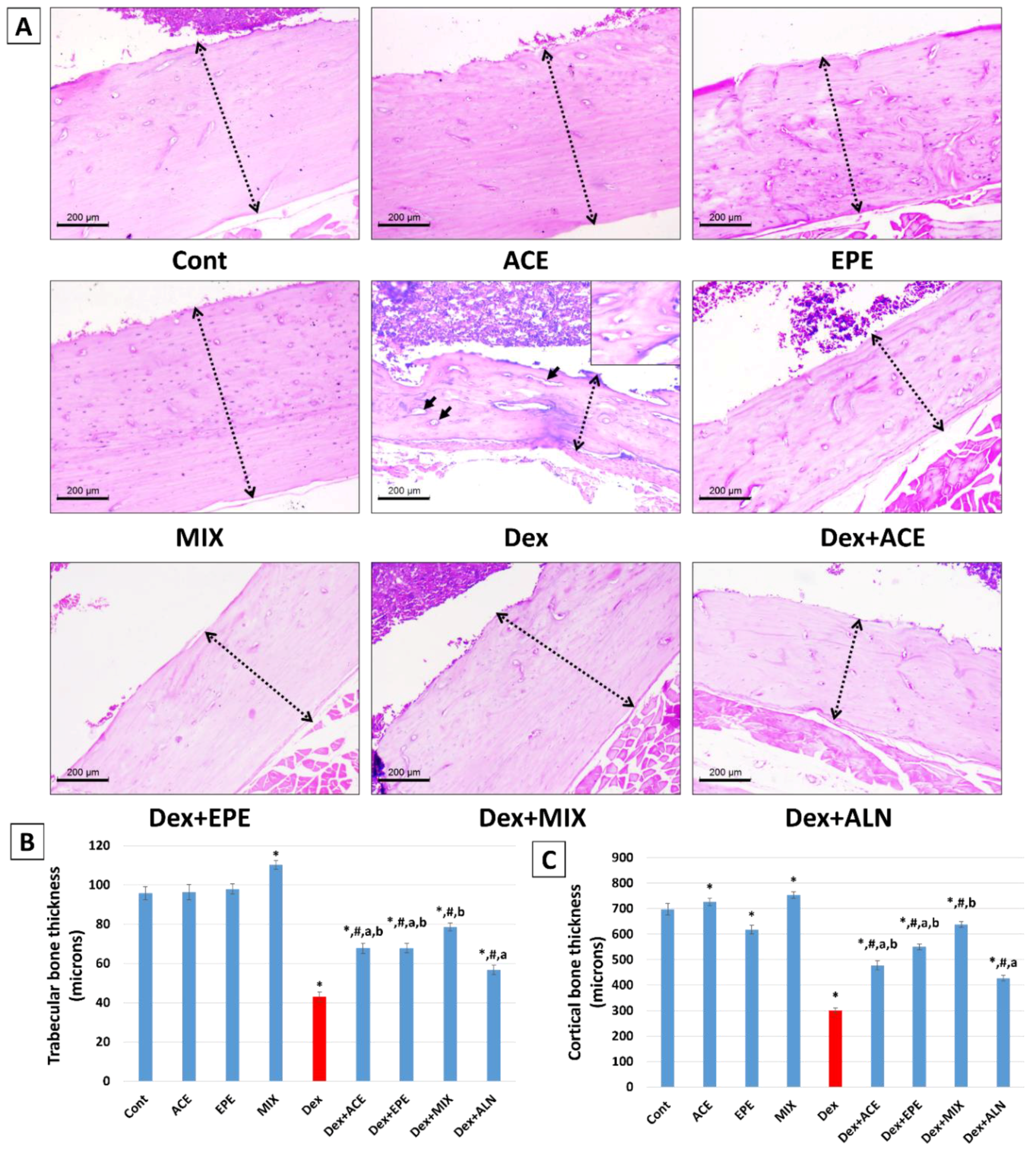 Antioxidants 13 00066 g009
