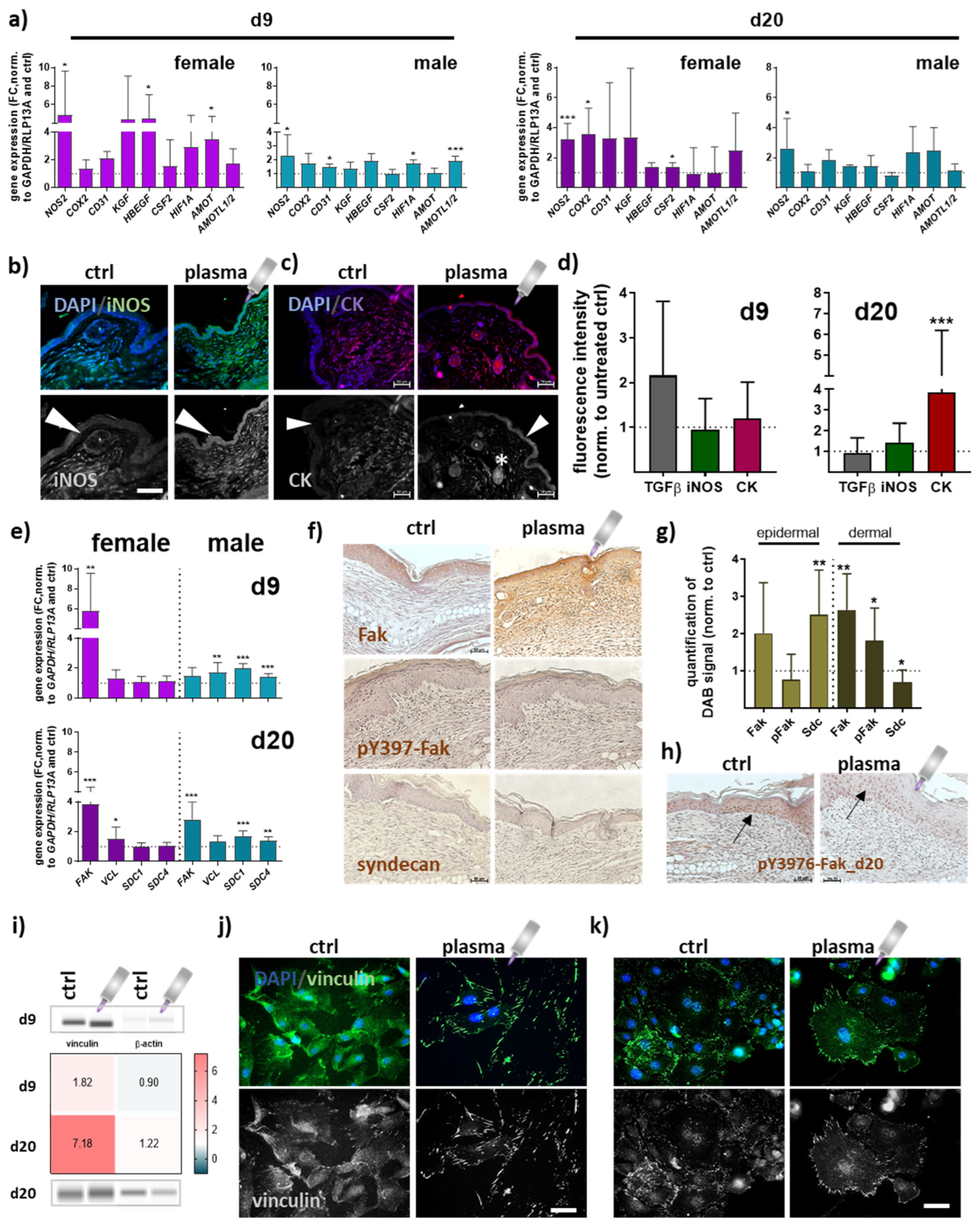 Antioxidants 13 00068 g004