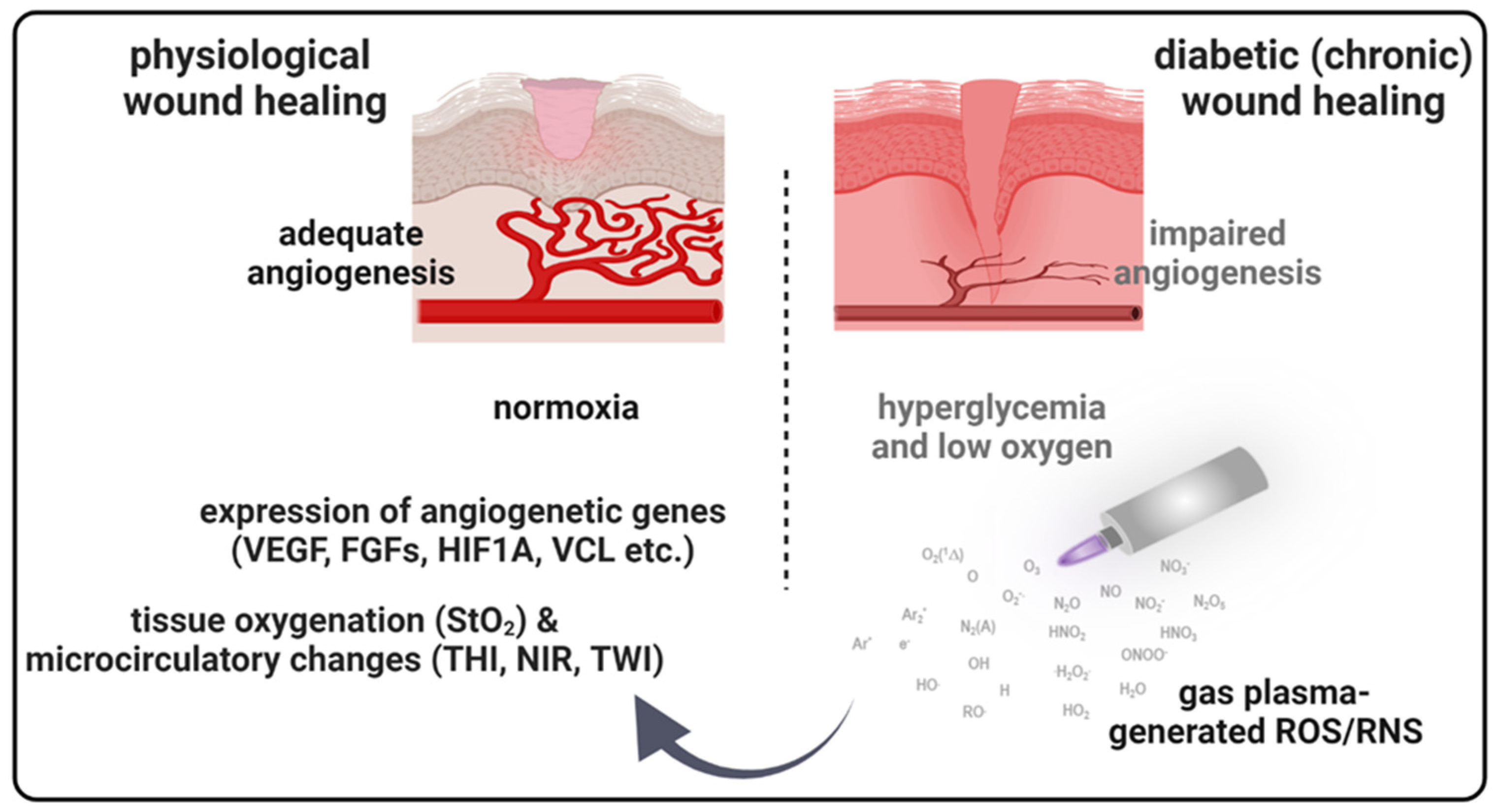 Antioxidants 13 00068 g007