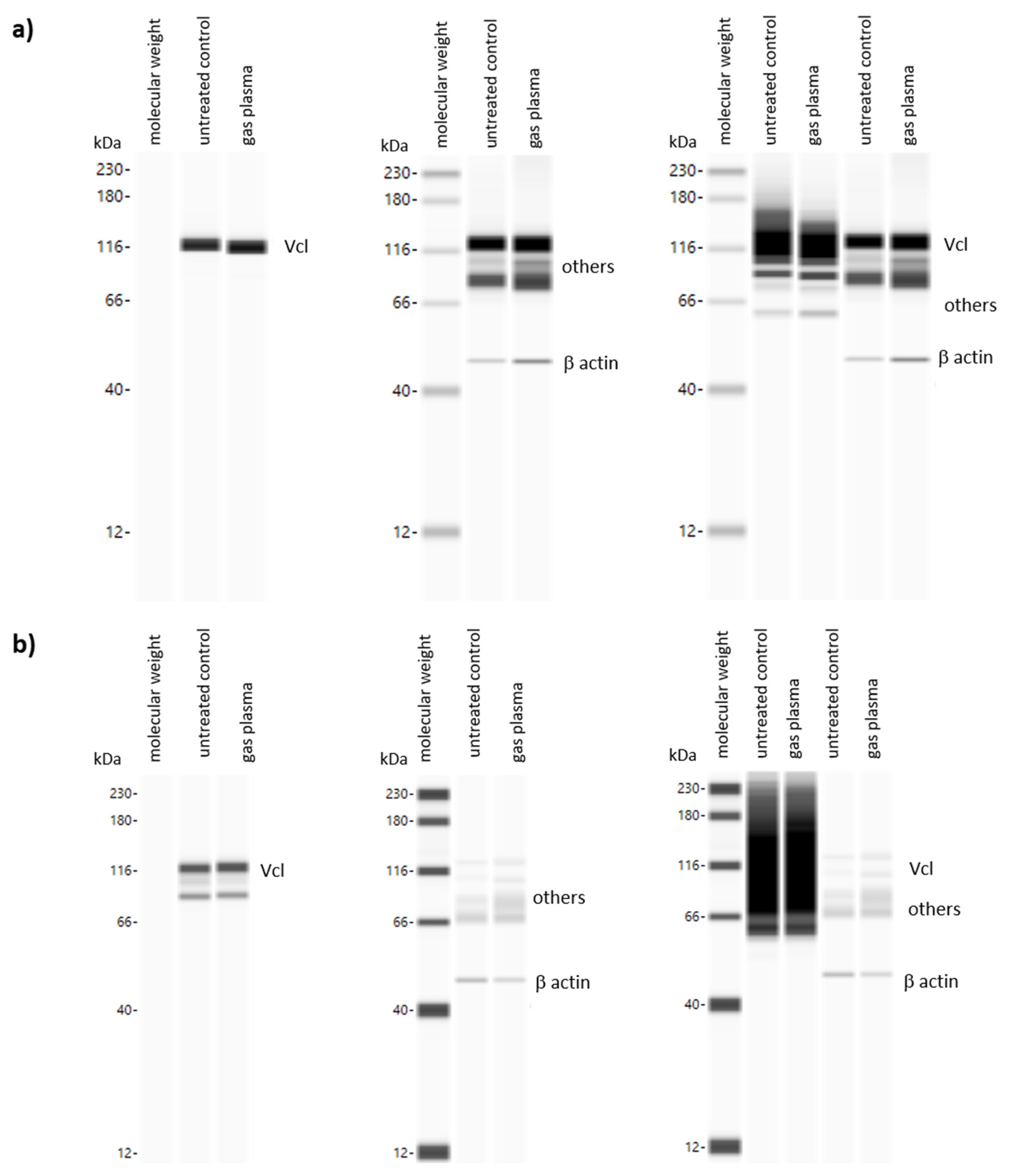 Antioxidants 13 00068 g0a1