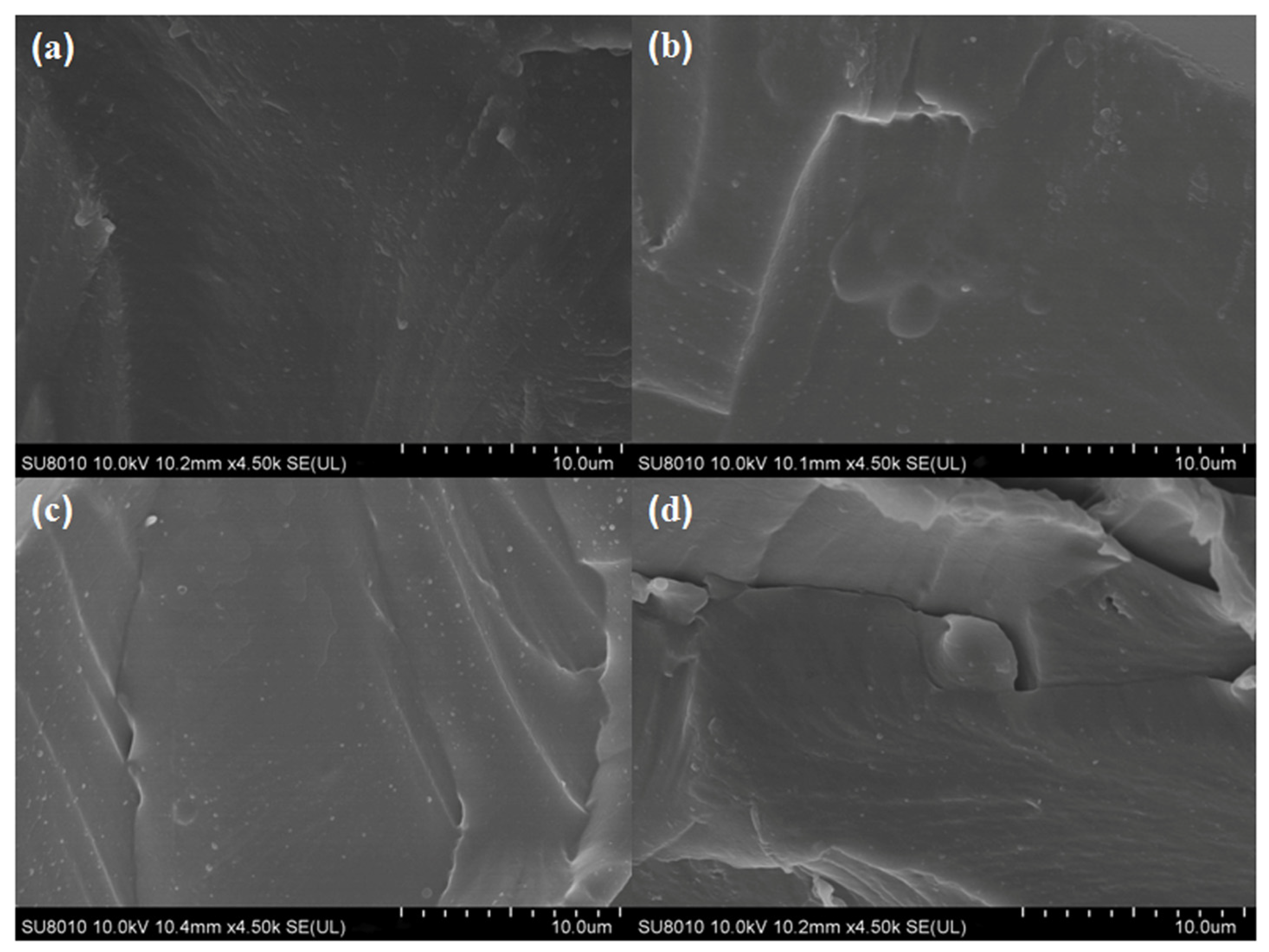Antioxidants 13 00069 g002