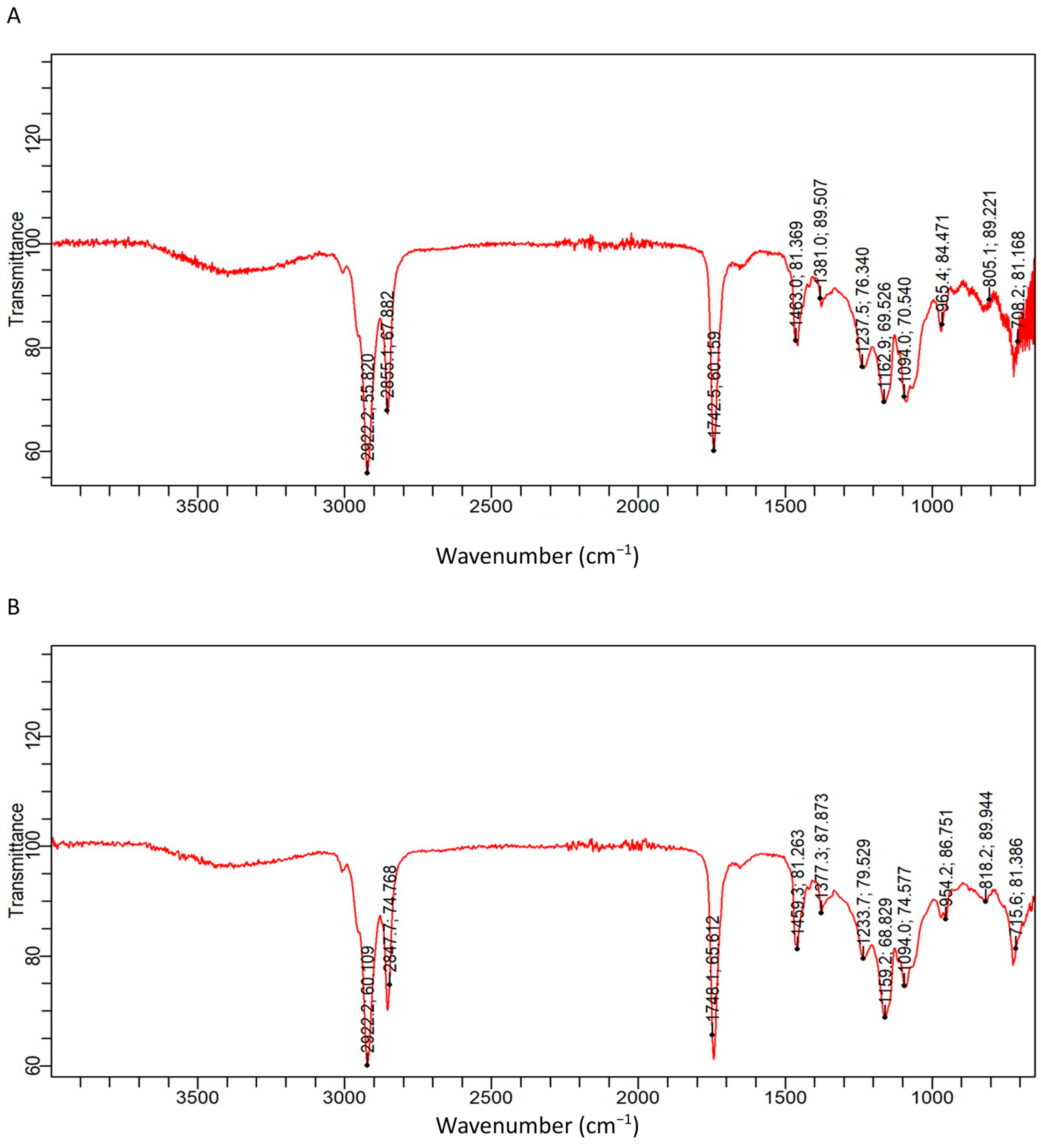 Antioxidants 13 00075 g002