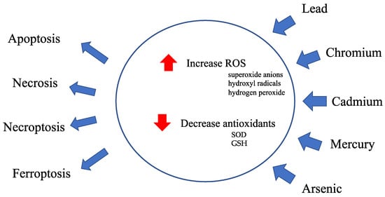 Antioxidants 13 00076 g001
