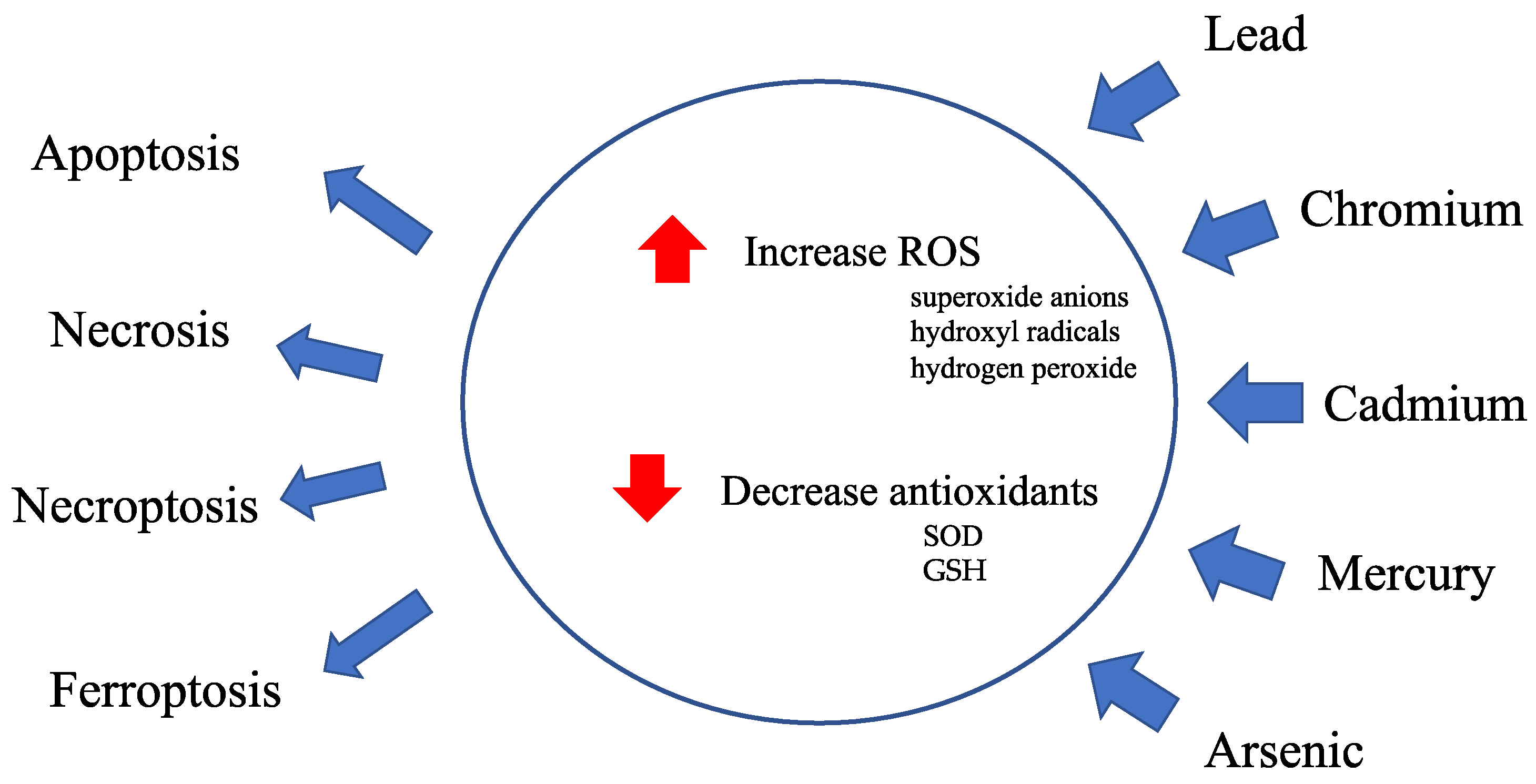 Antioxidants 13 00076 g001
