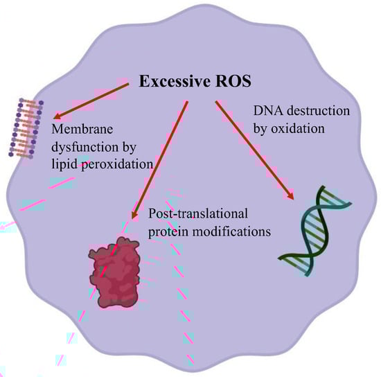 Antioxidants 13 00076 g002