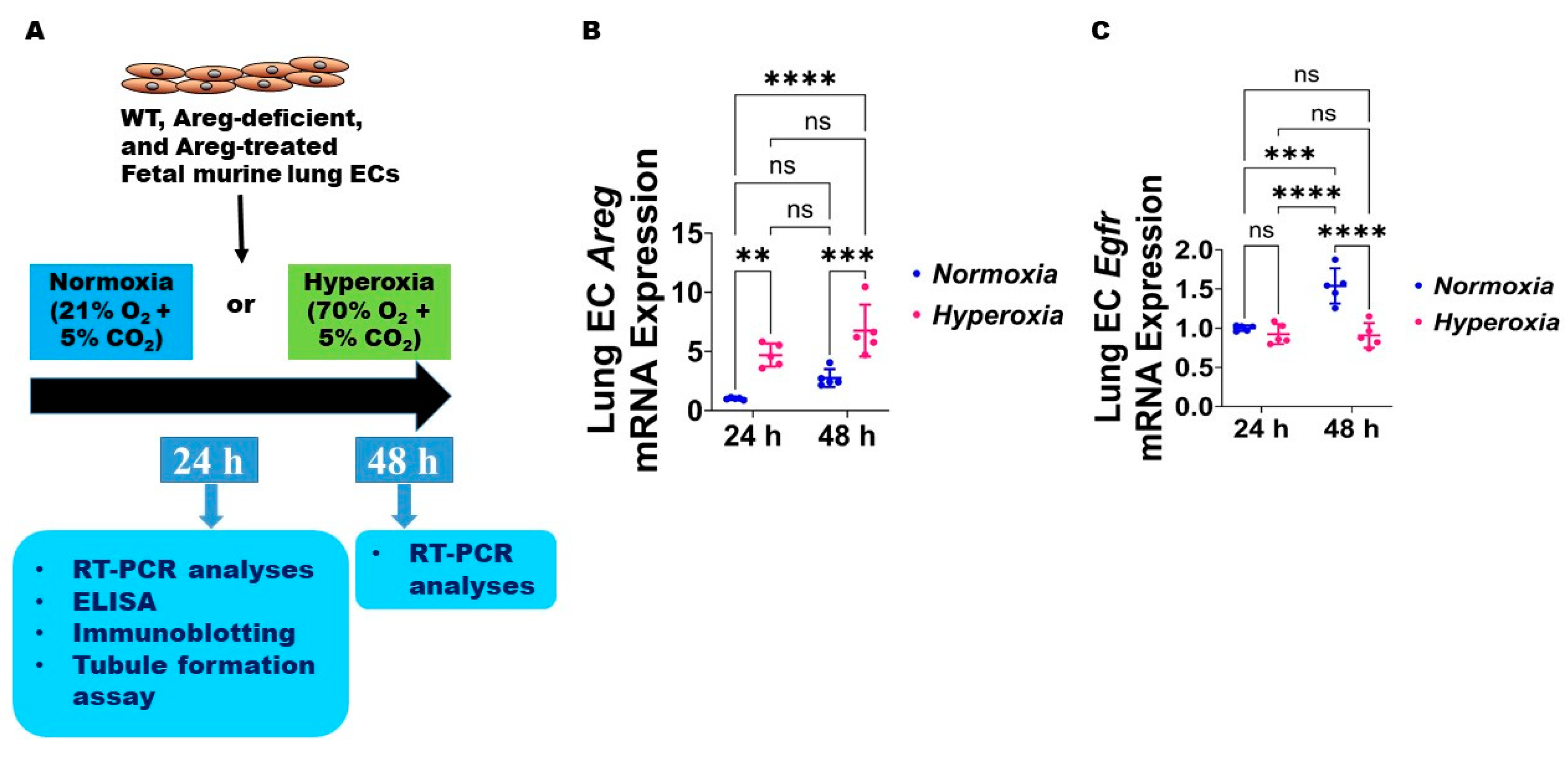 Antioxidants 13 00078 g003