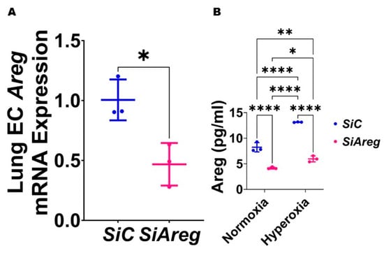 Antioxidants 13 00078 g004