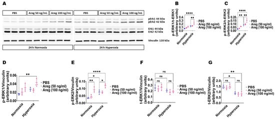 Antioxidants 13 00078 g008