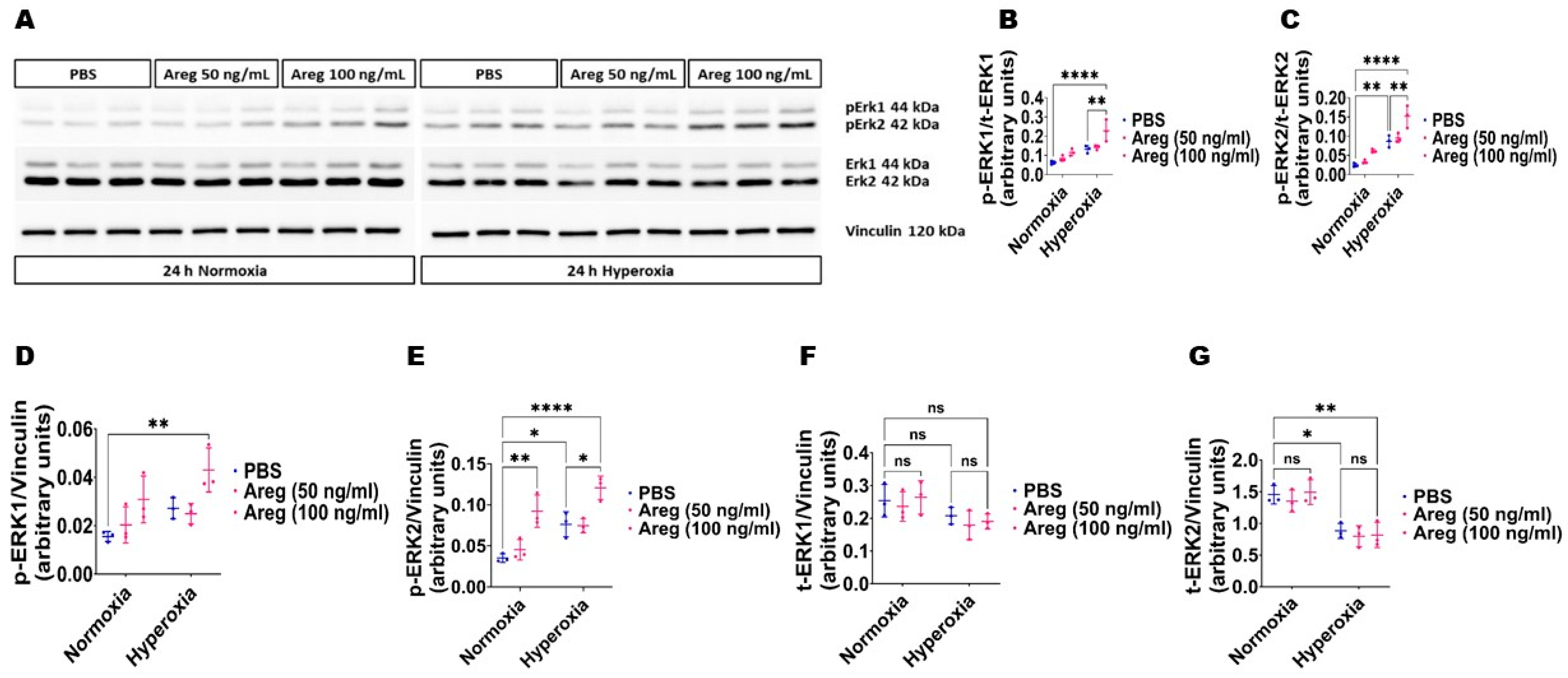 Antioxidants 13 00078 g008