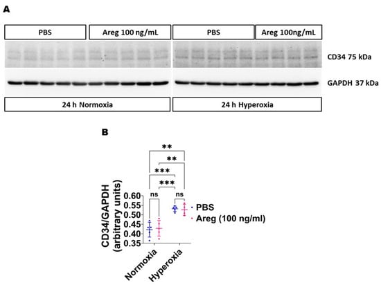 Antioxidants 13 00078 g009