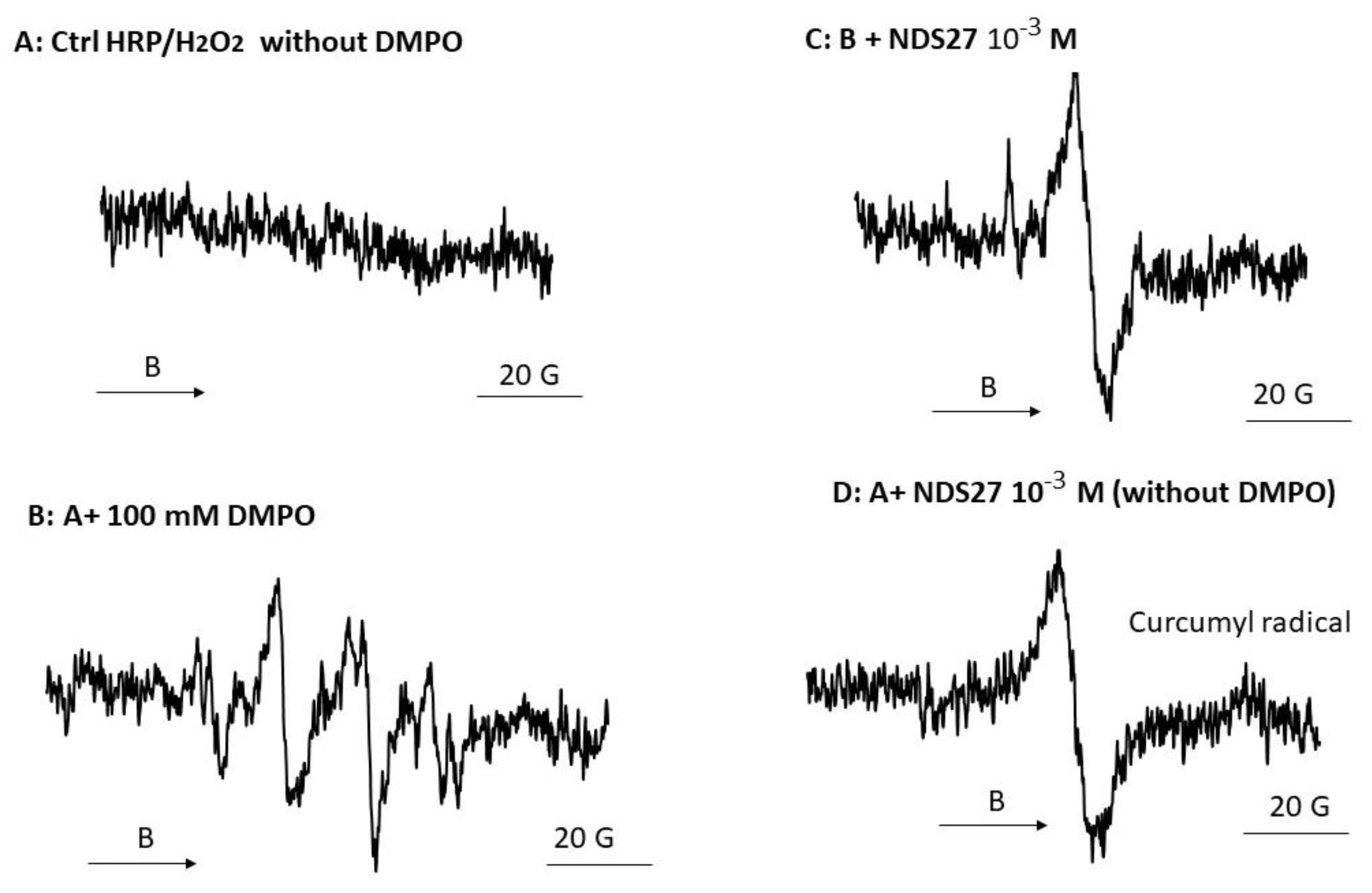 Antioxidants 13 00080 g005