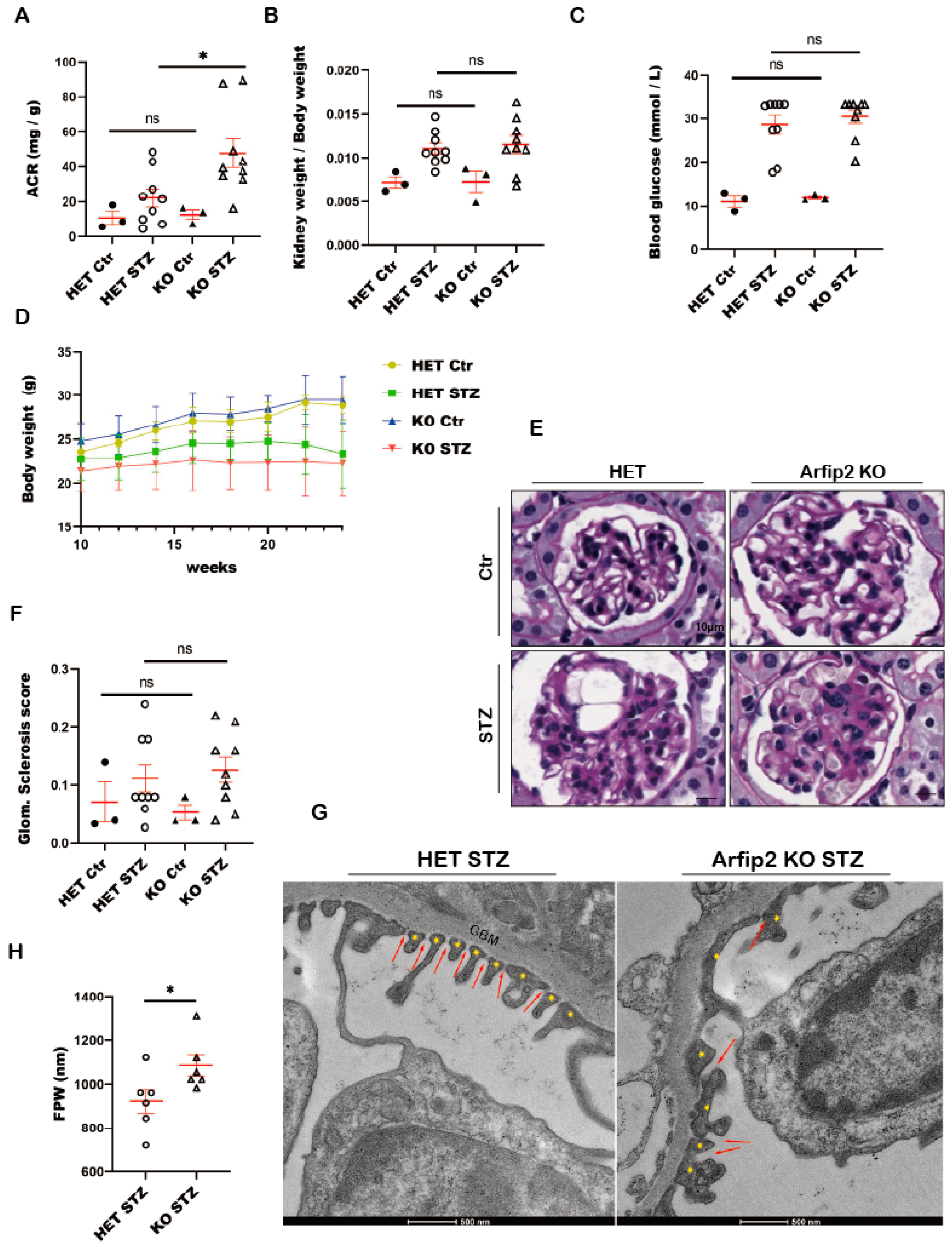 Antioxidants 13 00081 g008