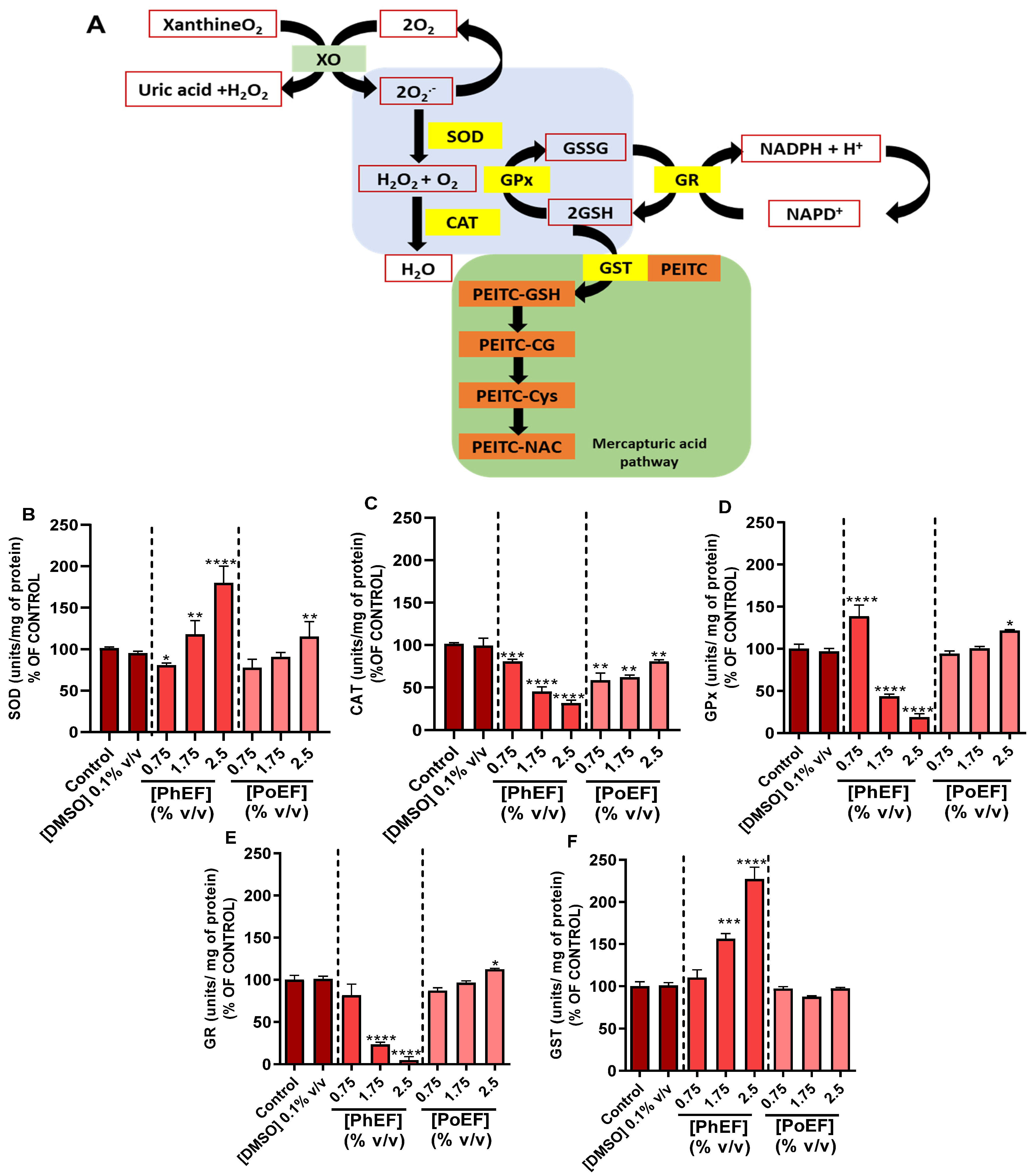Antioxidants 13 00082 g002