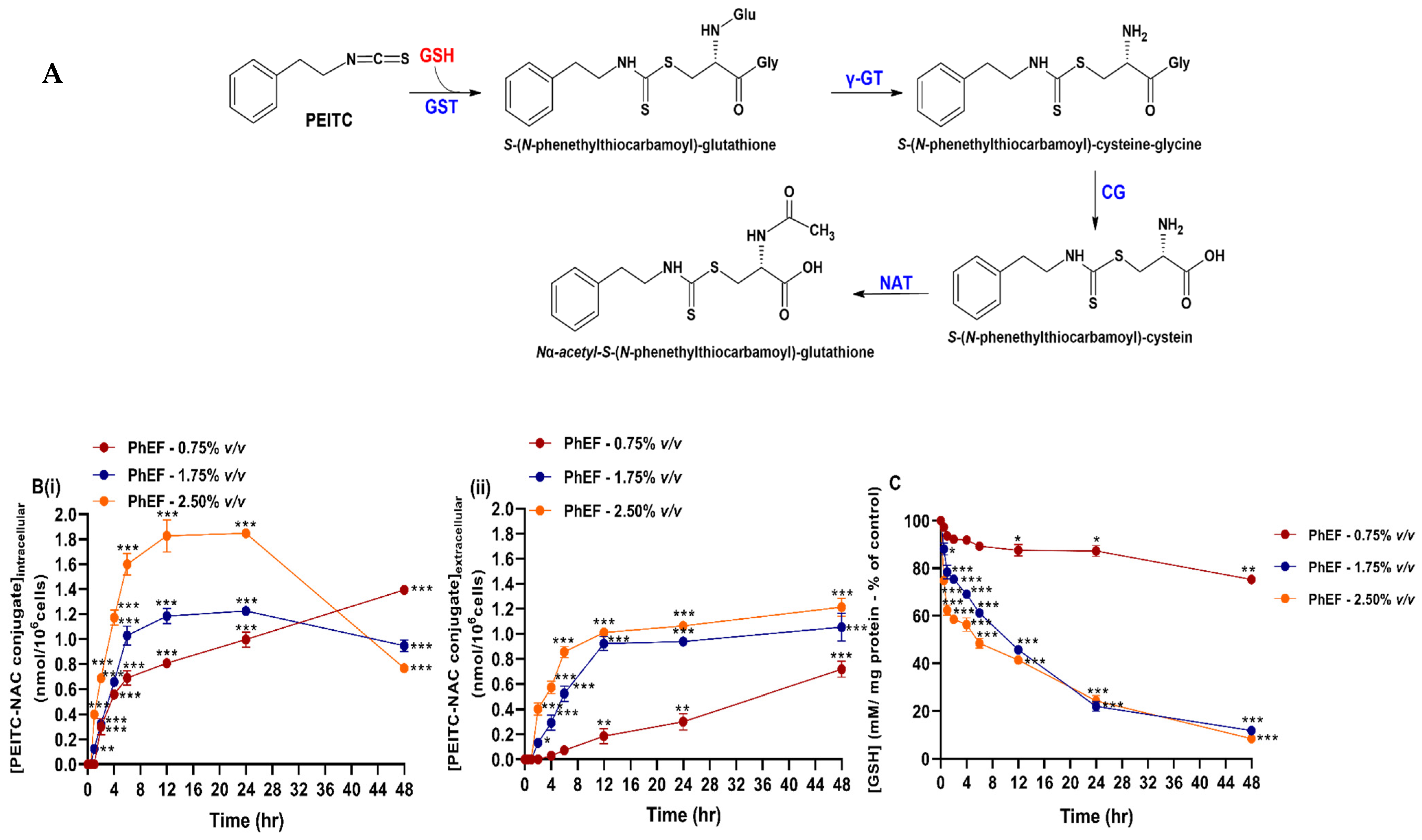 Antioxidants 13 00082 g004