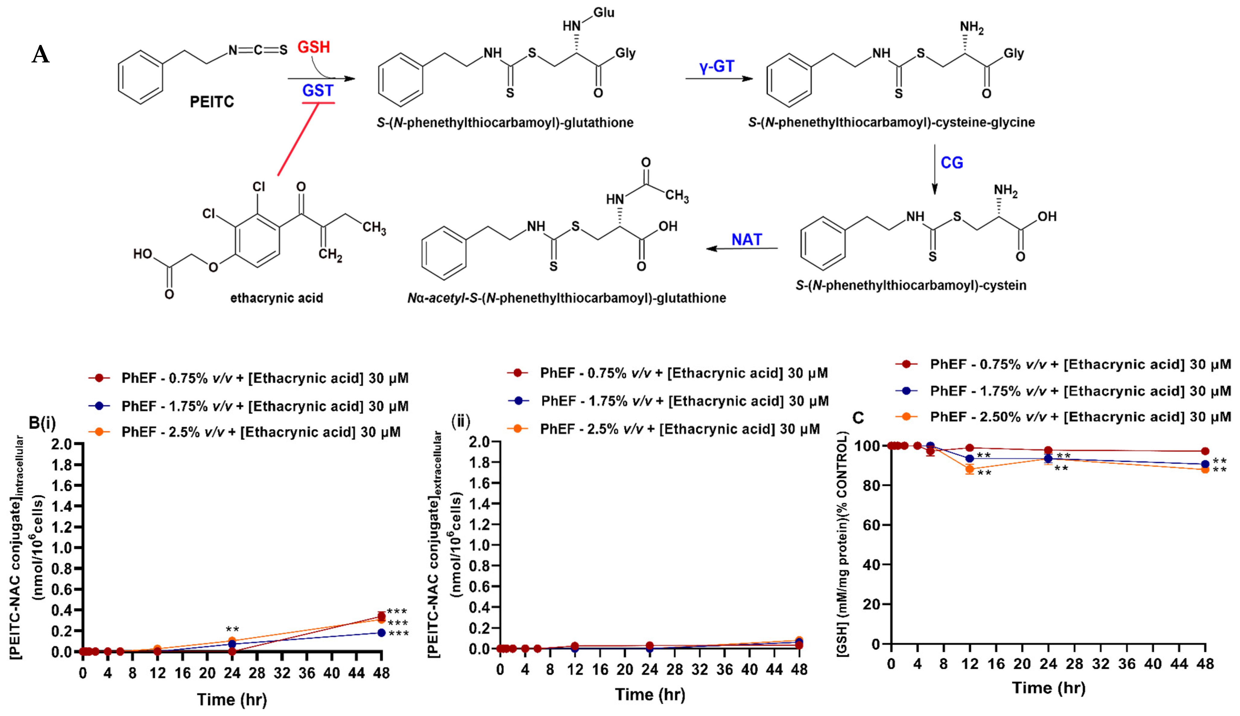 Antioxidants 13 00082 g005