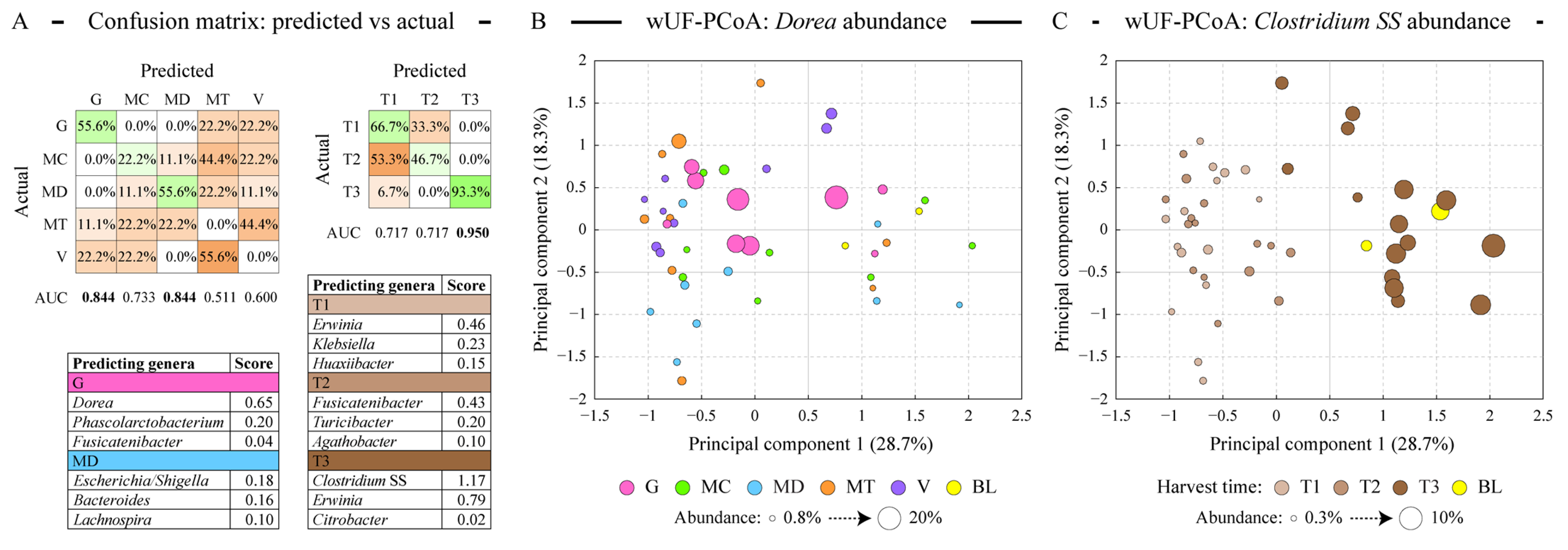 Antioxidants 13 00084 g004