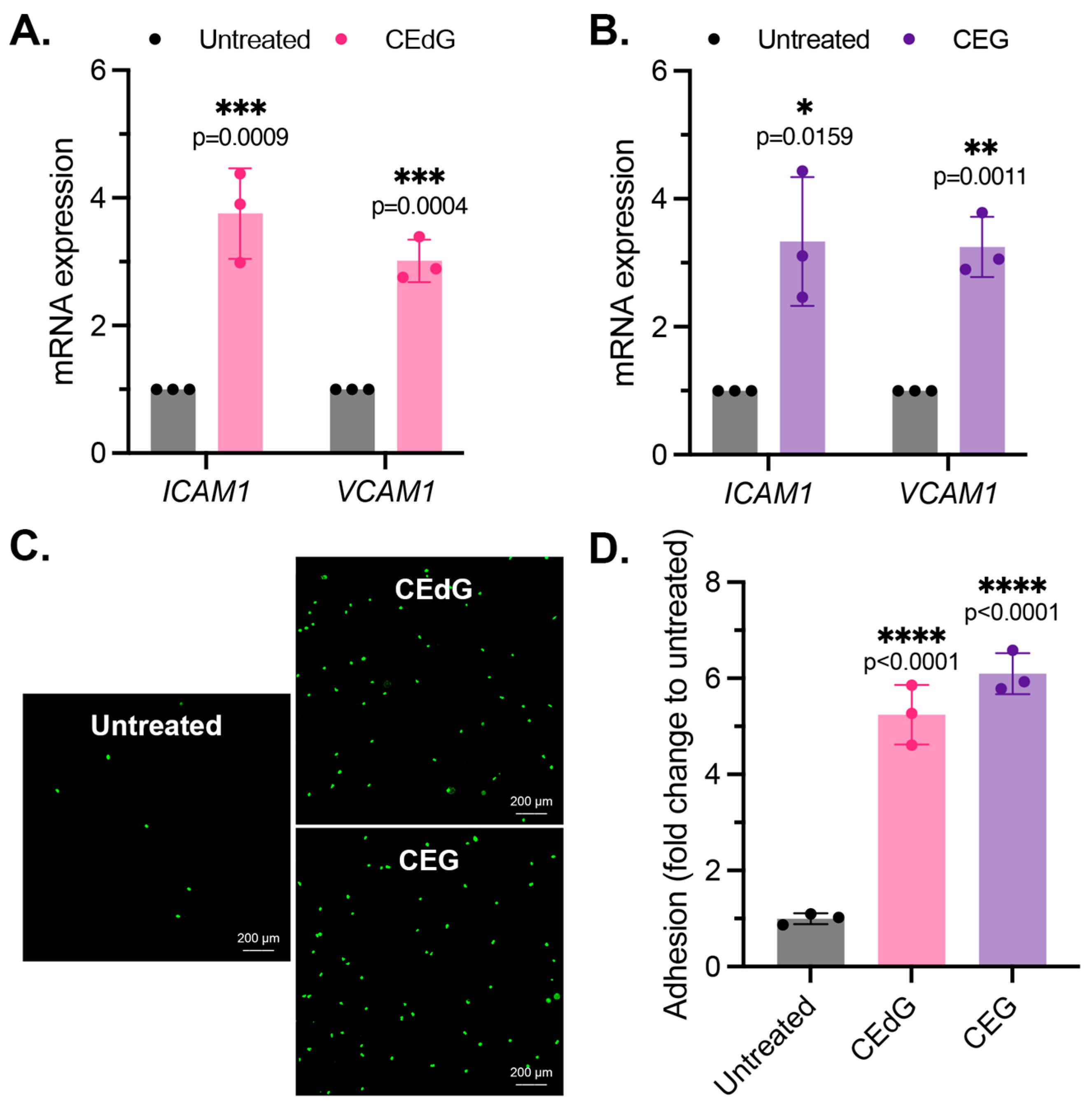Antioxidants 13 00085 g002
