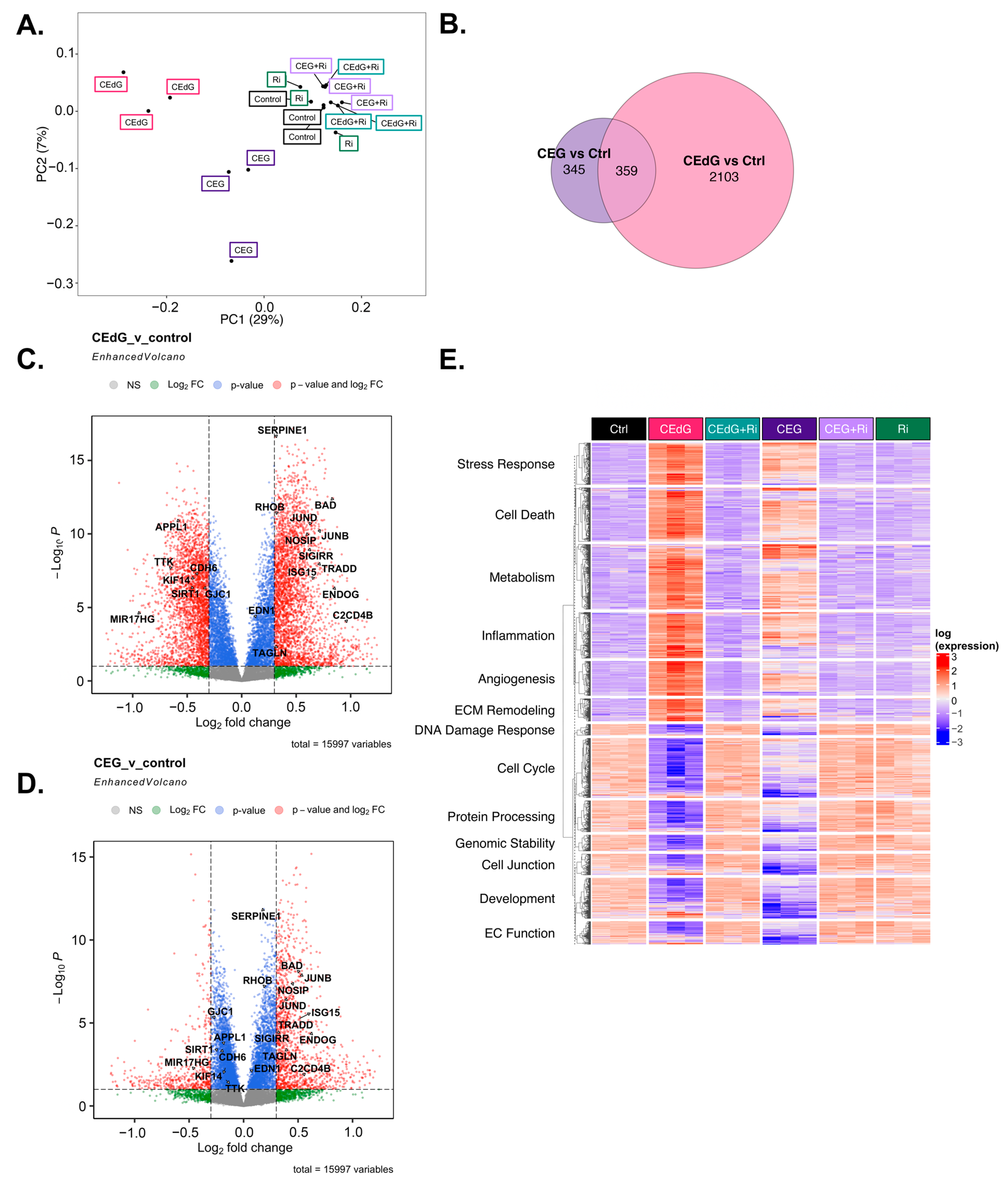 Antioxidants 13 00085 g008