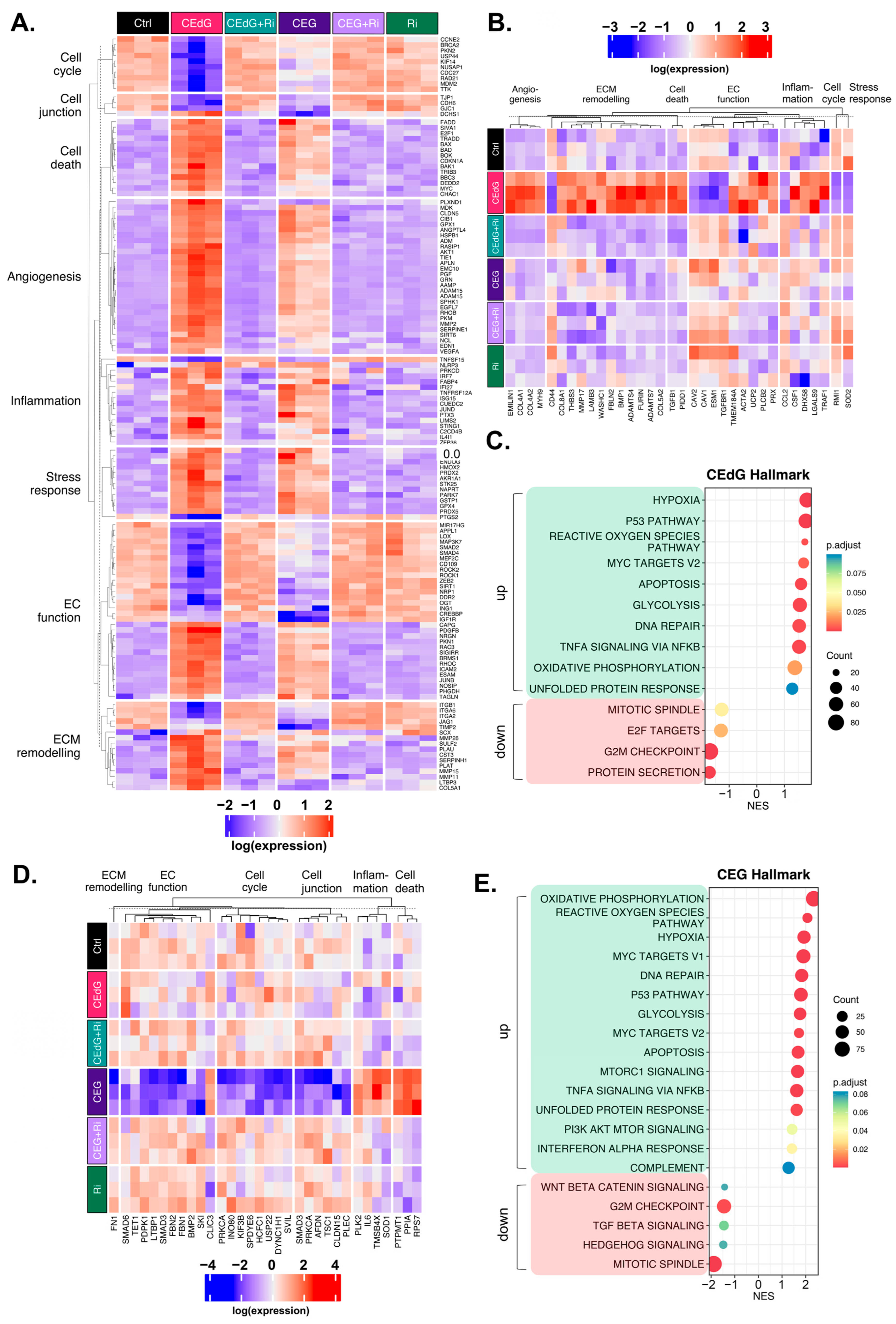 Antioxidants 13 00085 g009