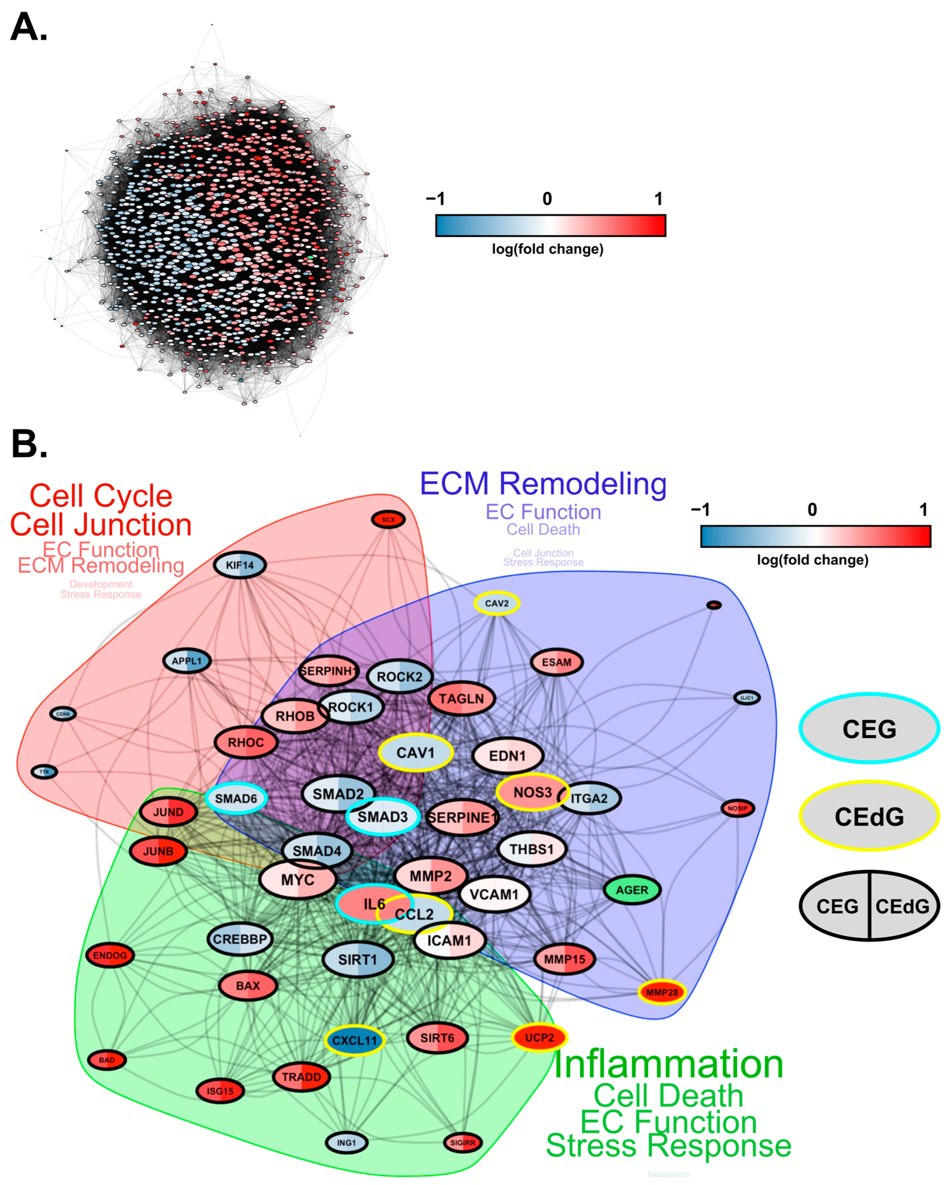 Antioxidants 13 00085 g010