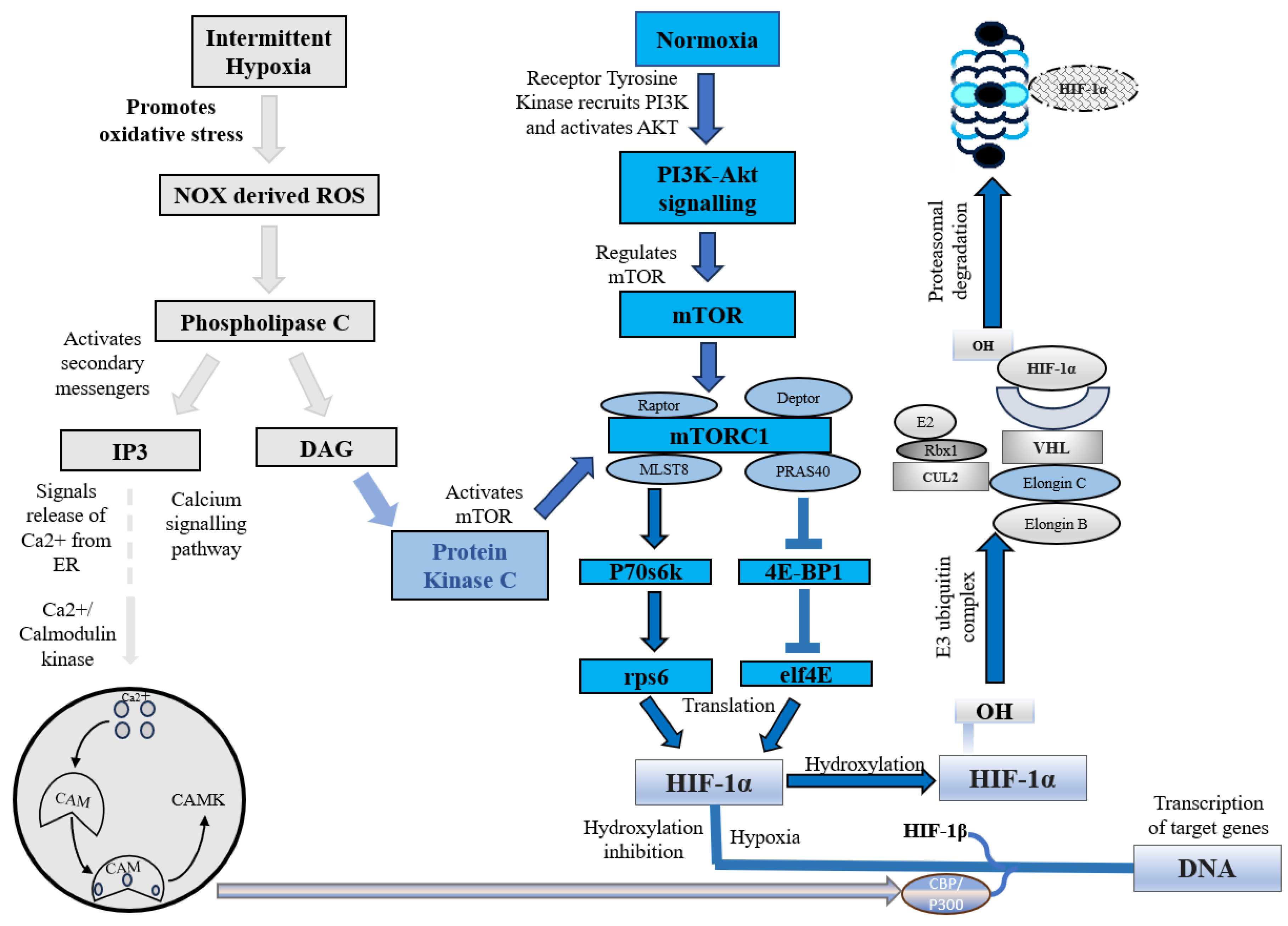 Antioxidants 13 00086 g001