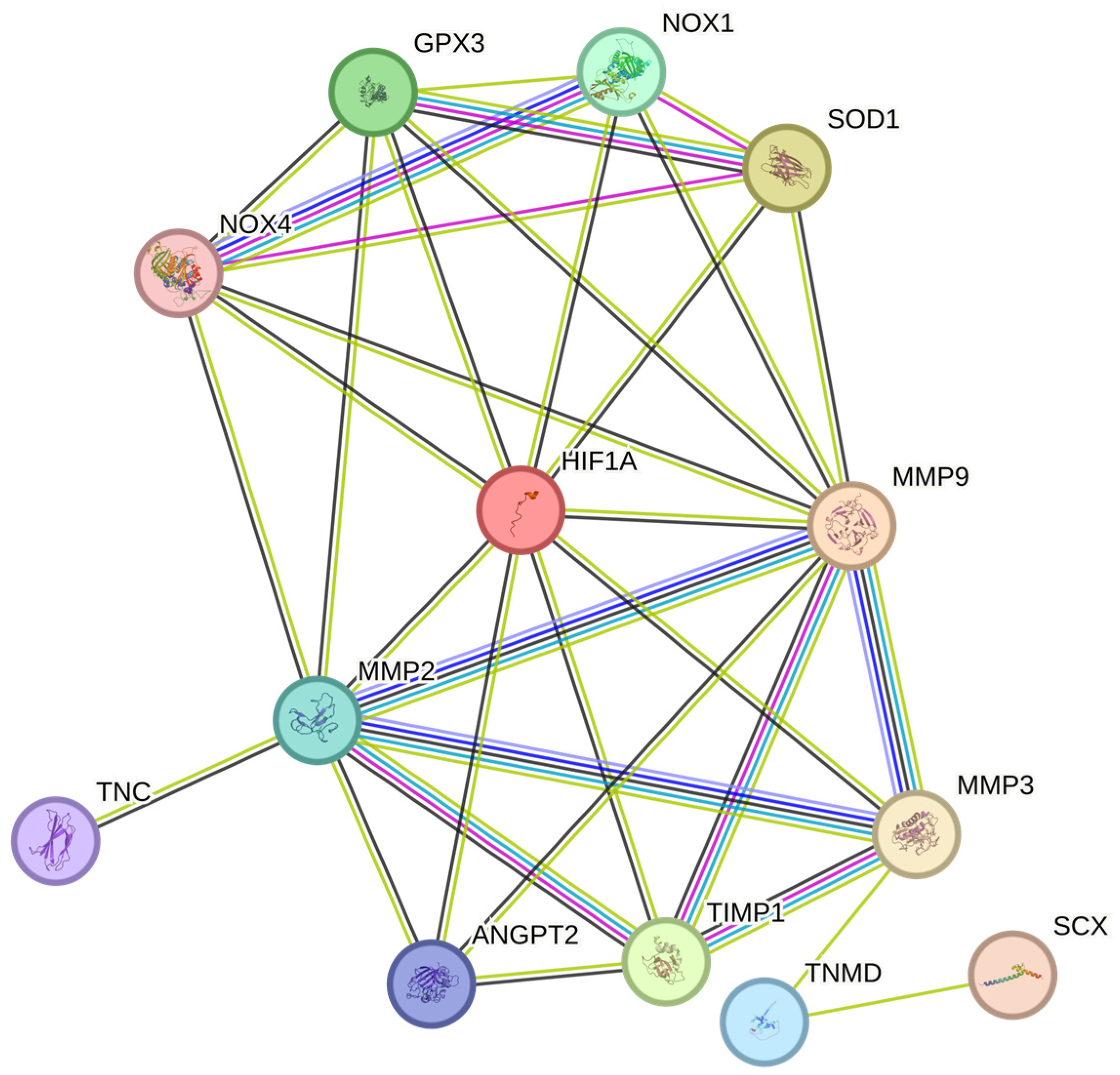 Antioxidants 13 00086 g004