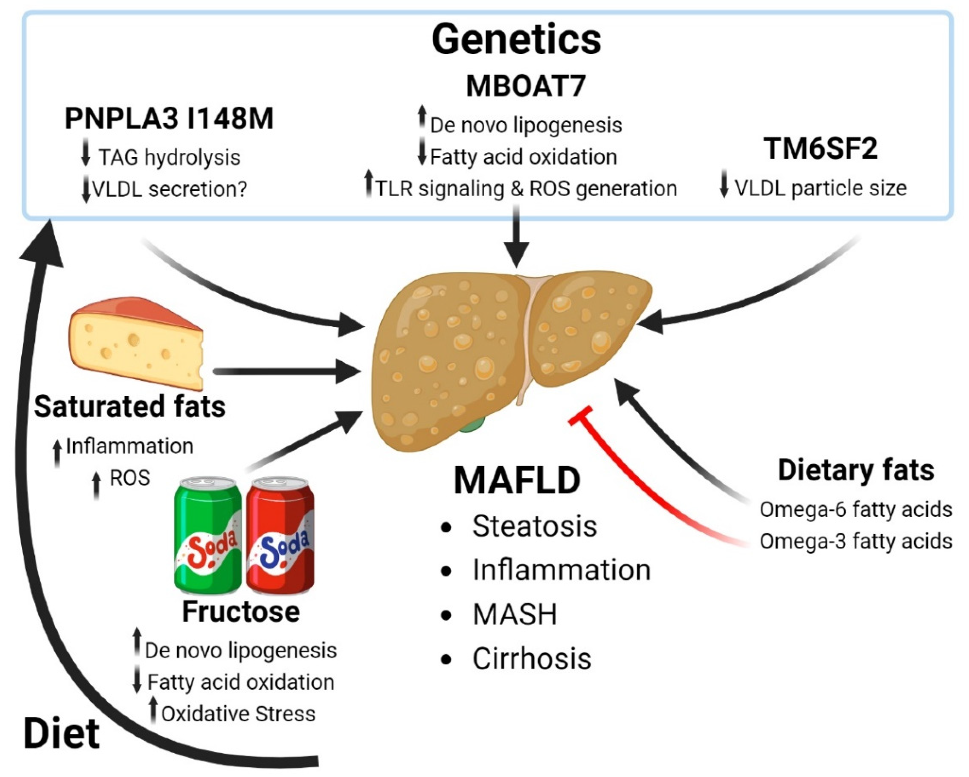 Antioxidants 13 00087 g001