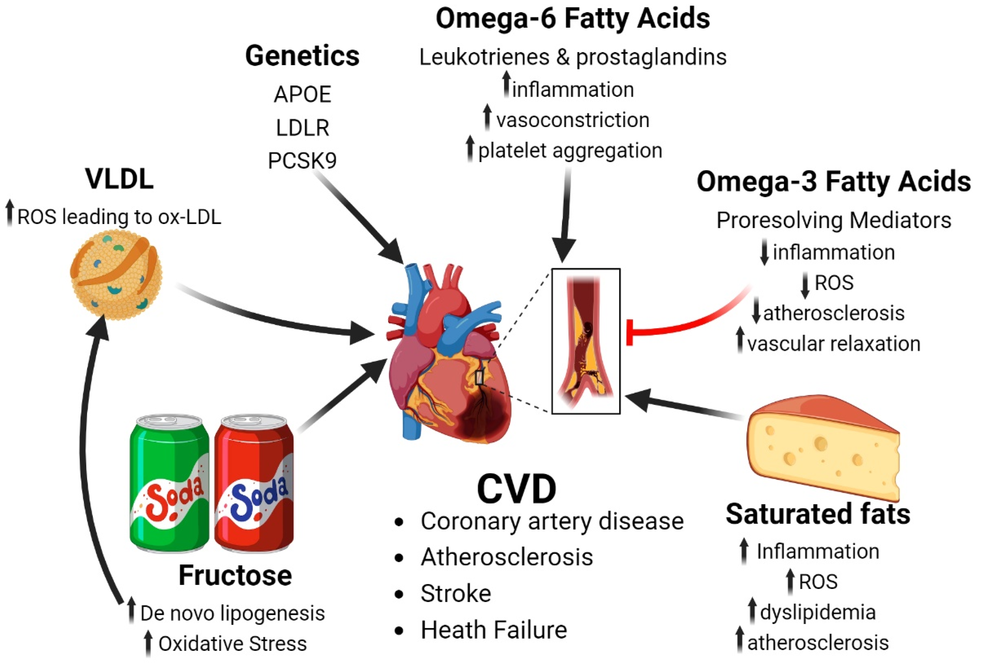 Antioxidants 13 00087 g002