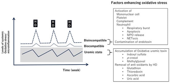 Antioxidants 13 00090 g003