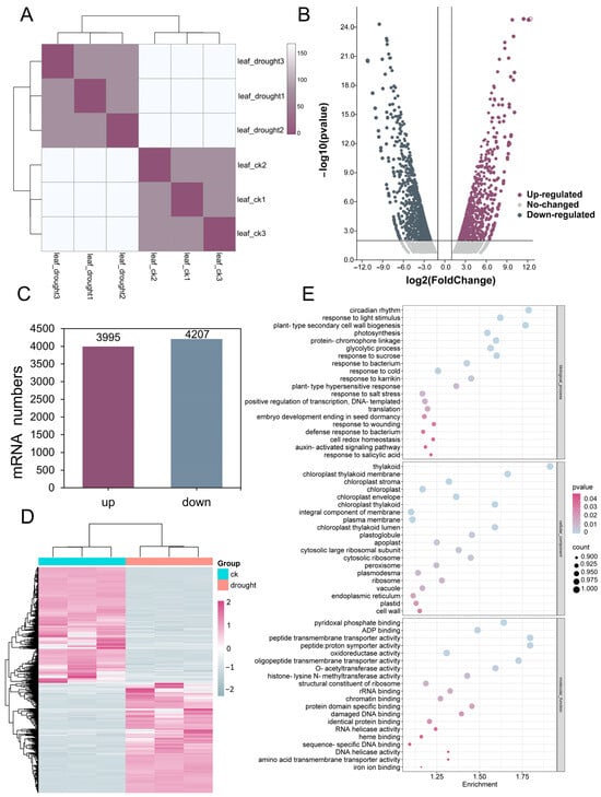 Antioxidants 13 00094 g002