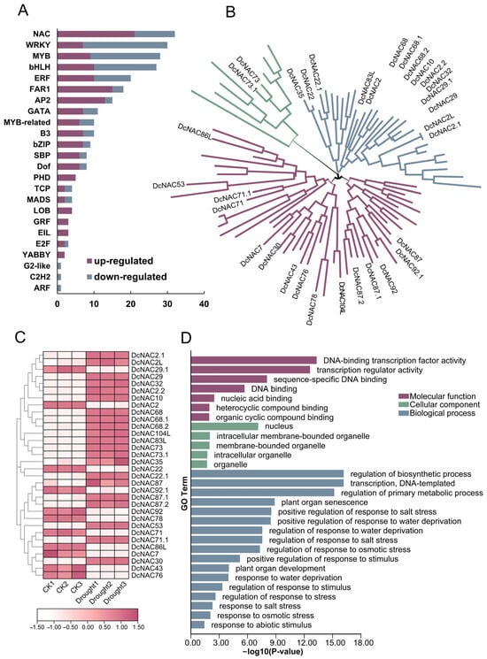 Antioxidants 13 00094 g003