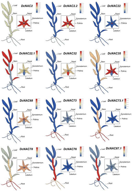 Antioxidants 13 00094 g004