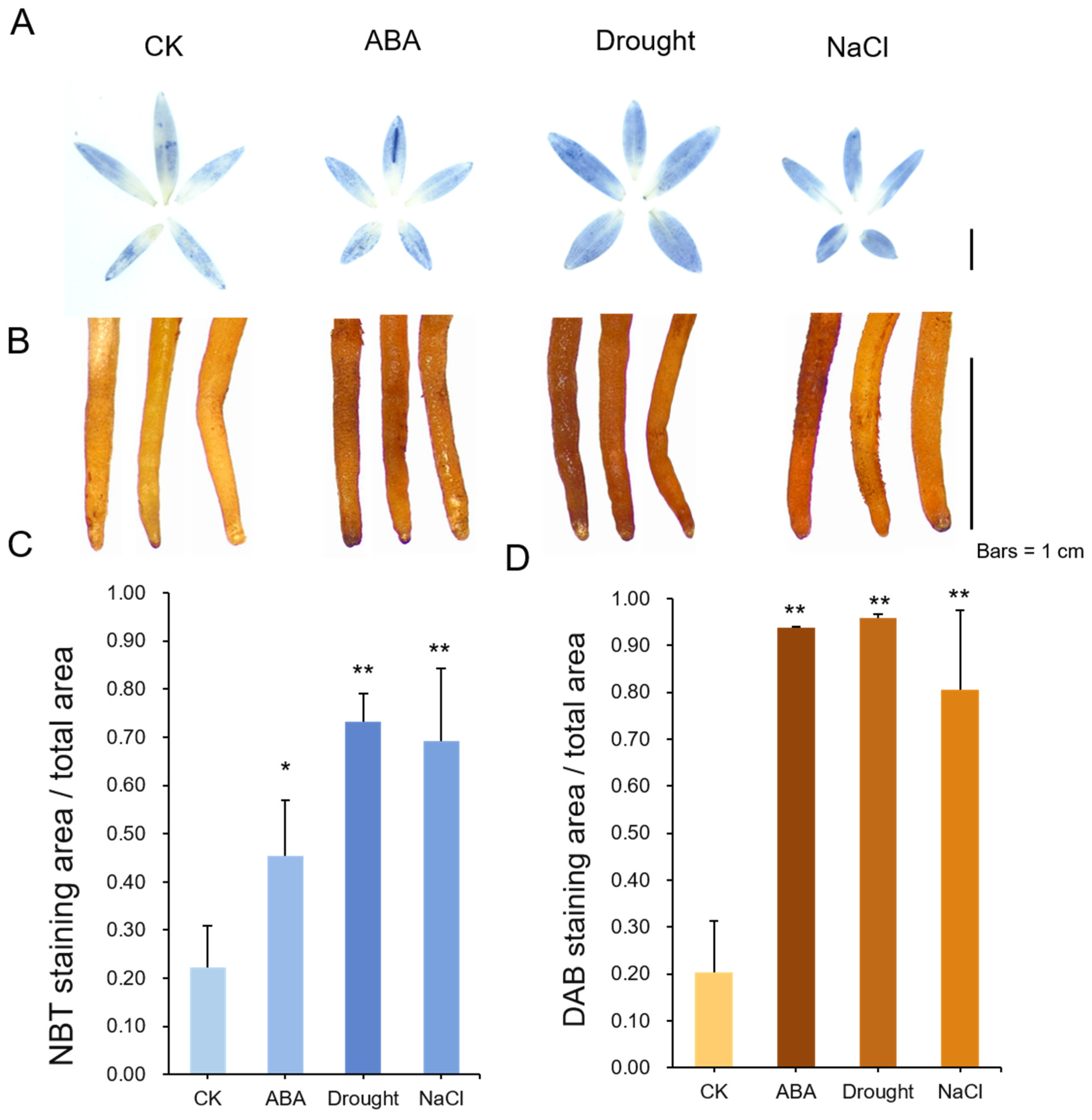 Antioxidants 13 00094 g006