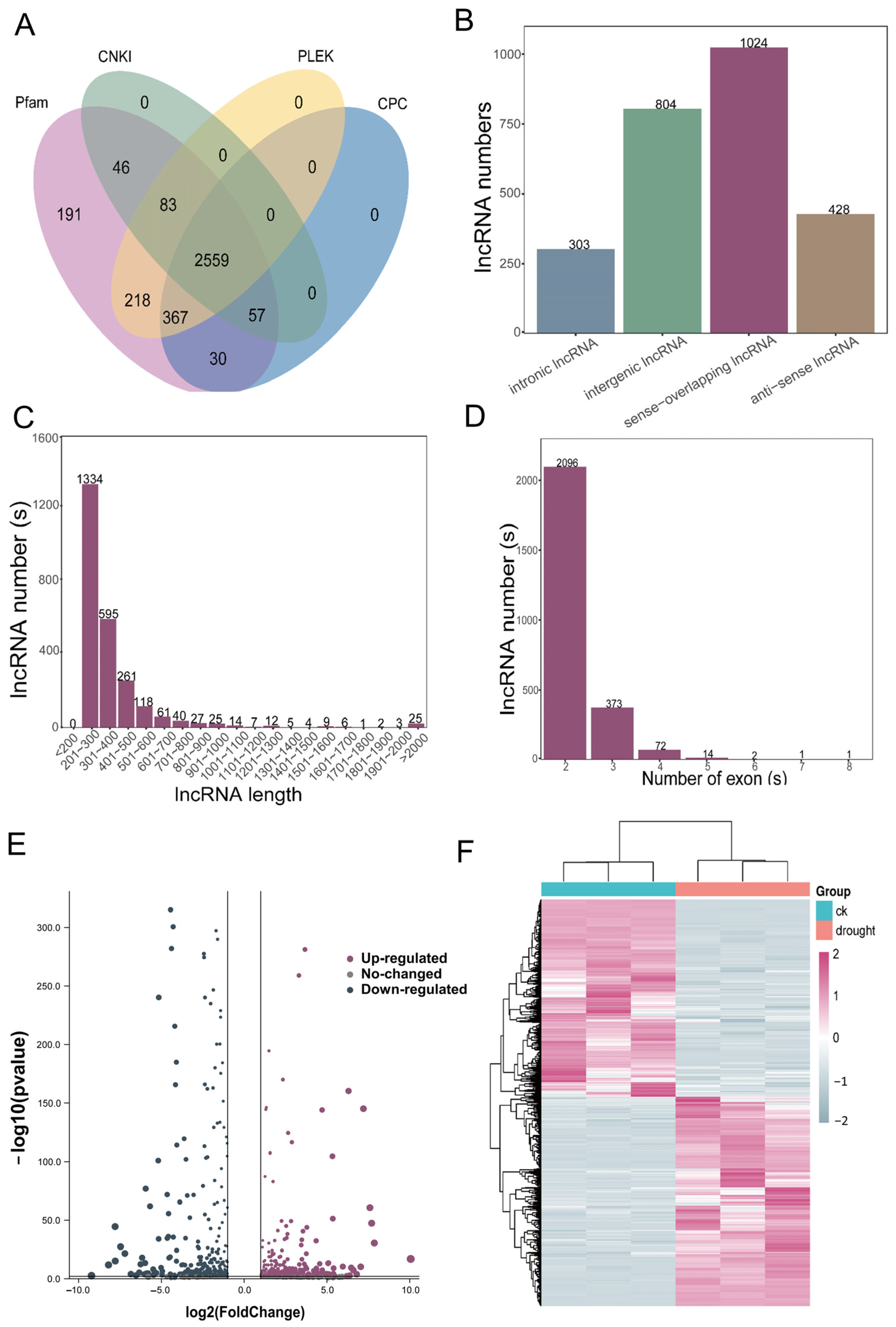 Antioxidants 13 00094 g007
